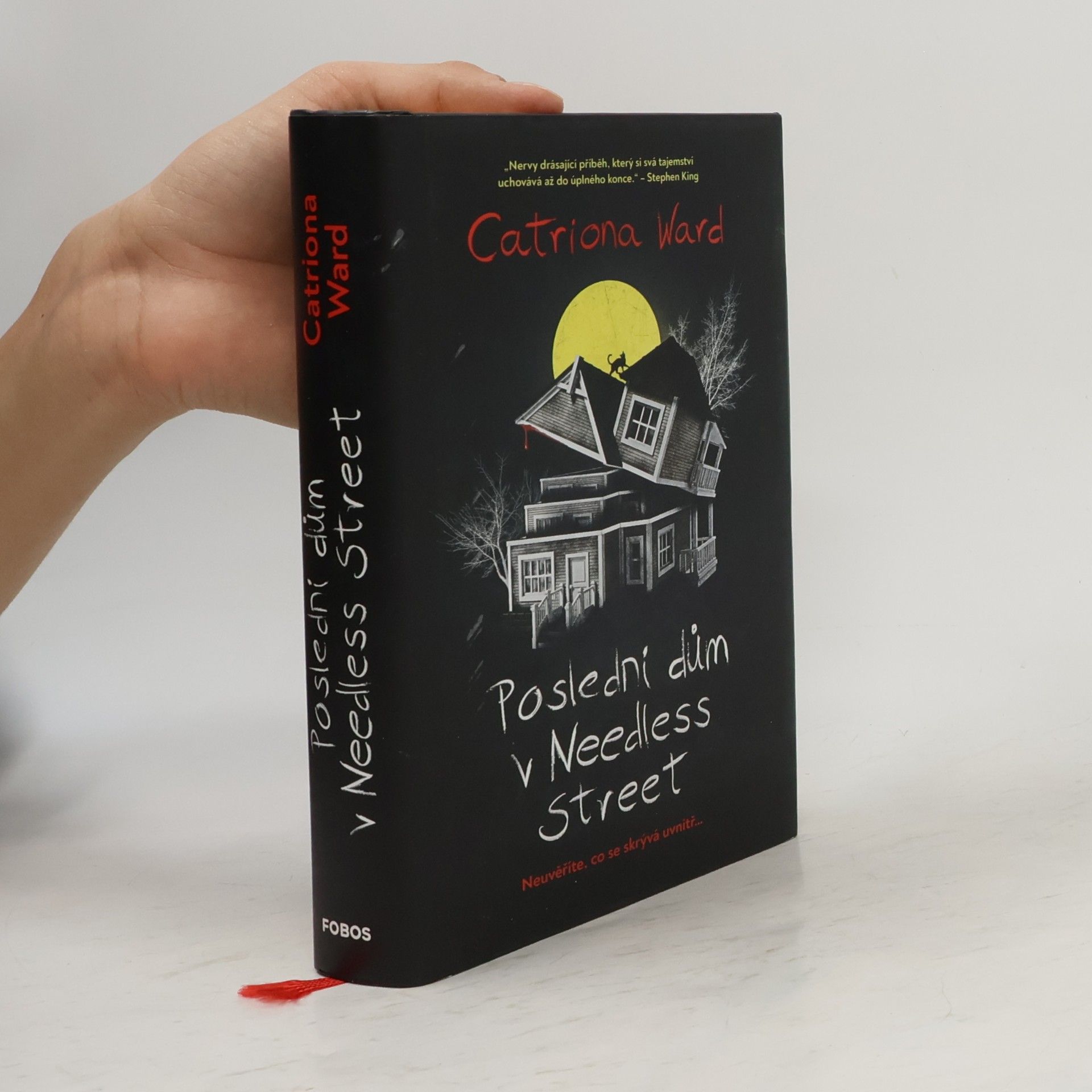 Catriona Ward Poslední dům v Needless Street