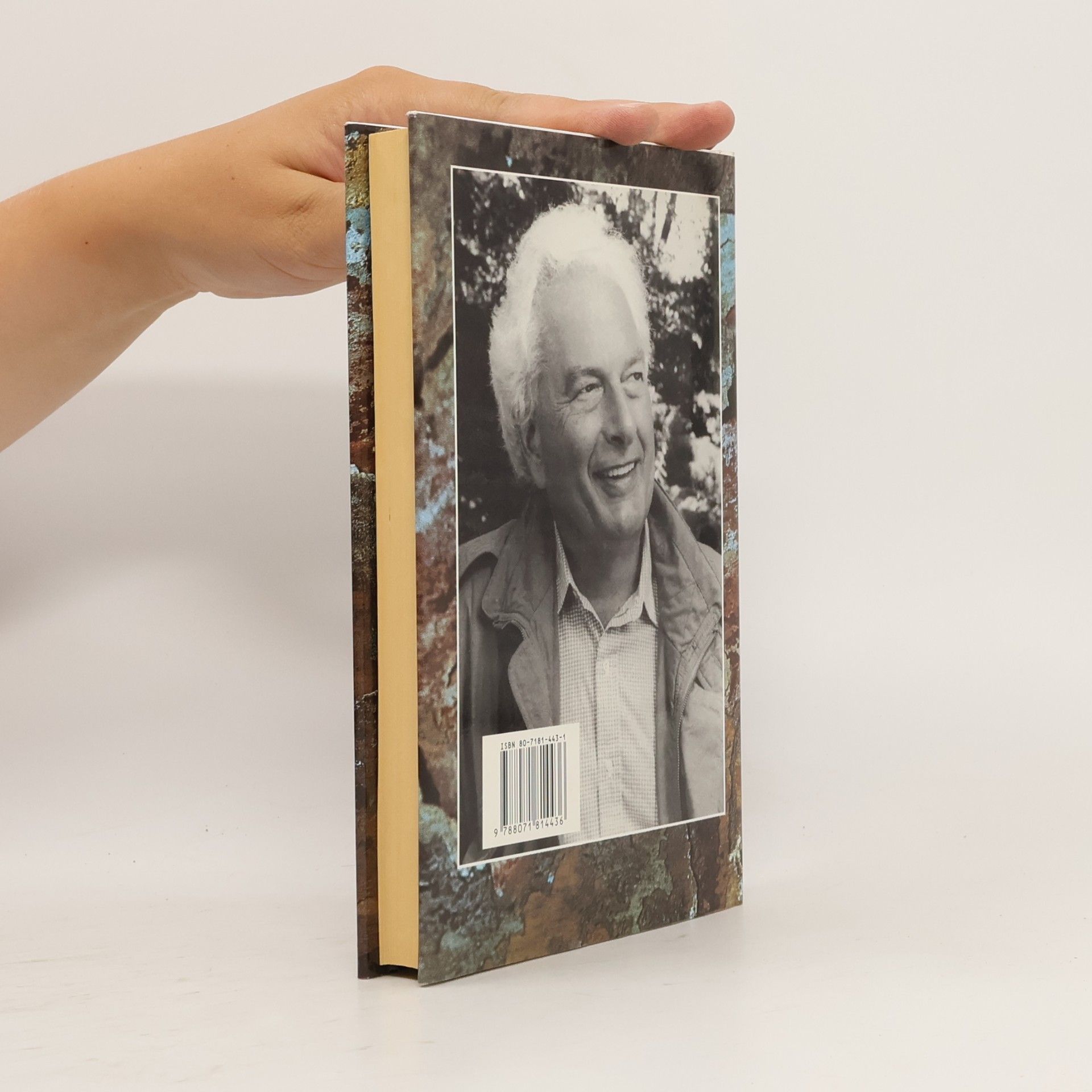 Joseph Heller Portrét starého umelca