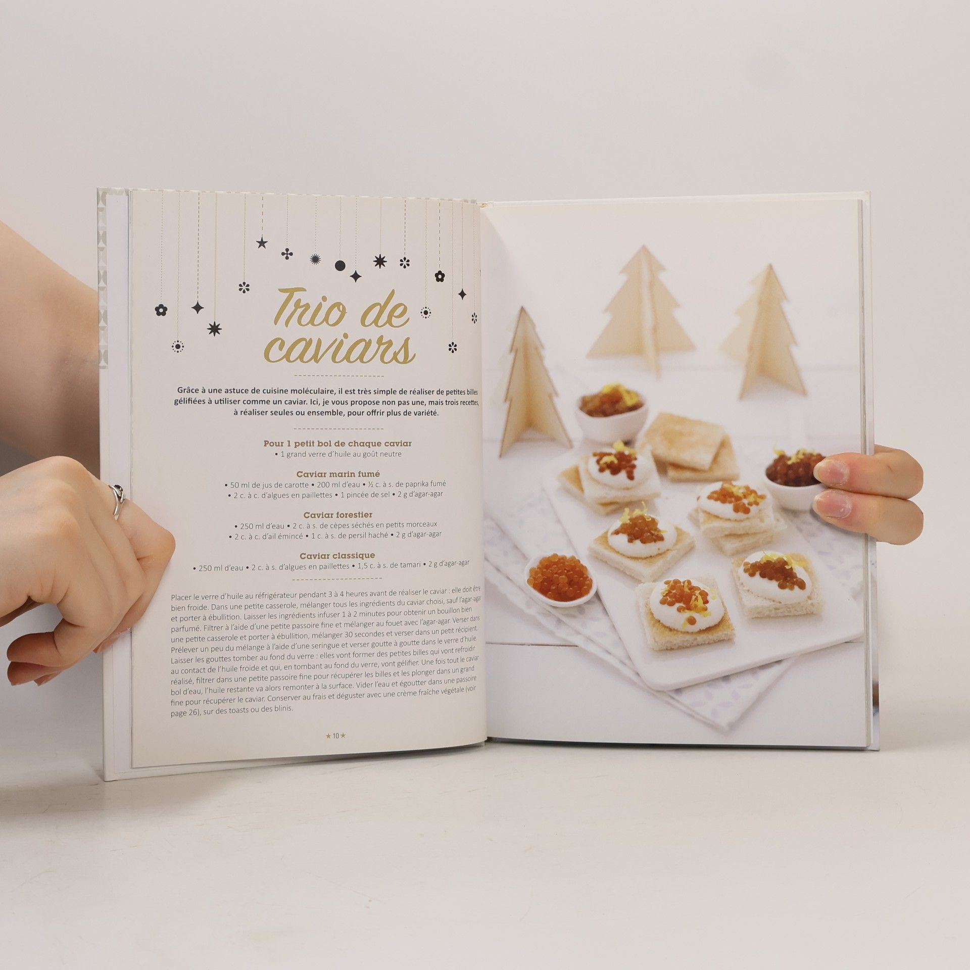 Marie Laforêt Joyeux Noël vegan !