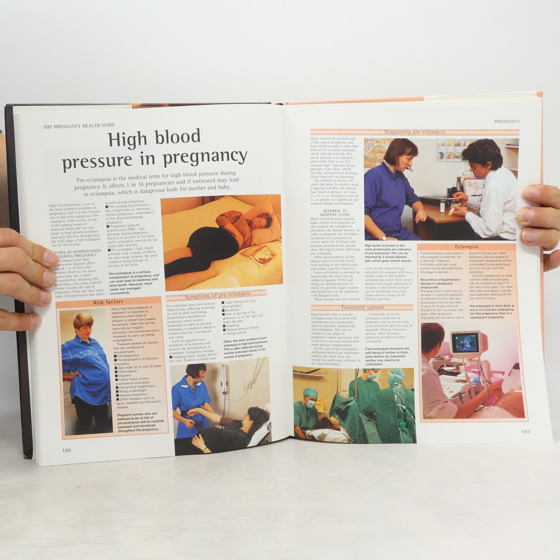 Peter Abrahams The Pregnancy Health Guide