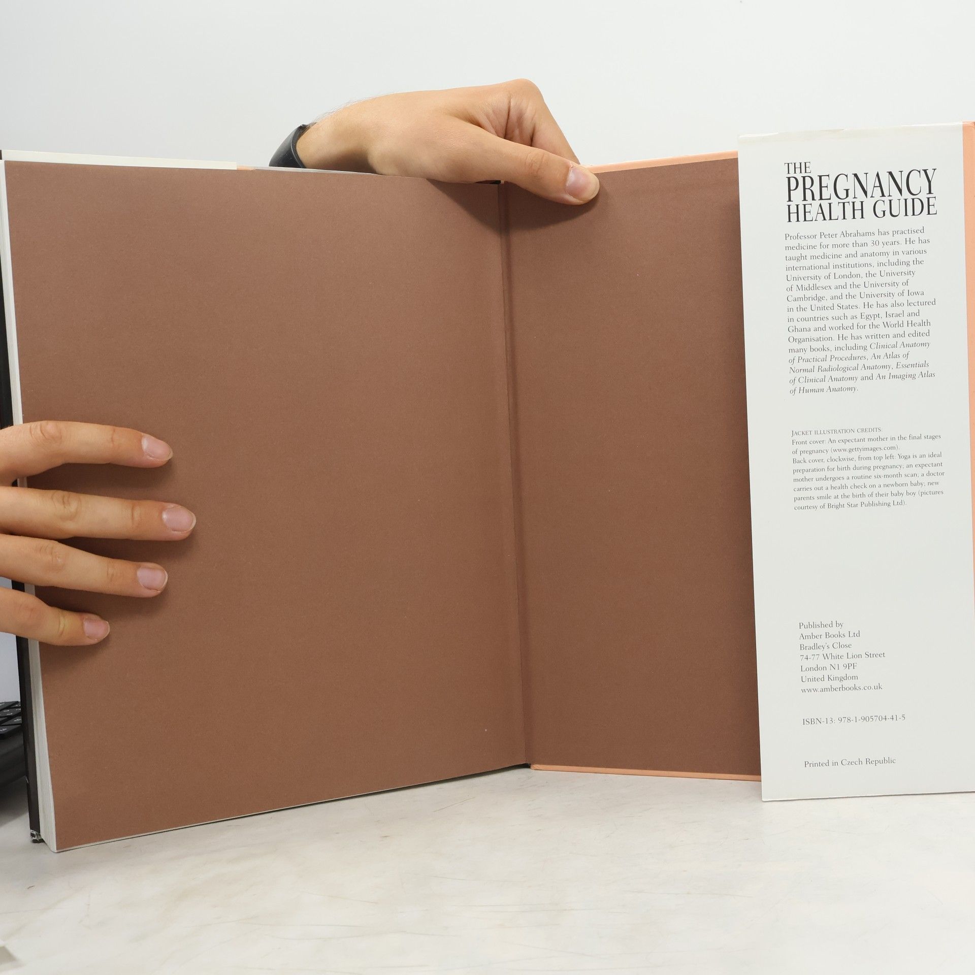 Peter Abrahams The Pregnancy Health Guide