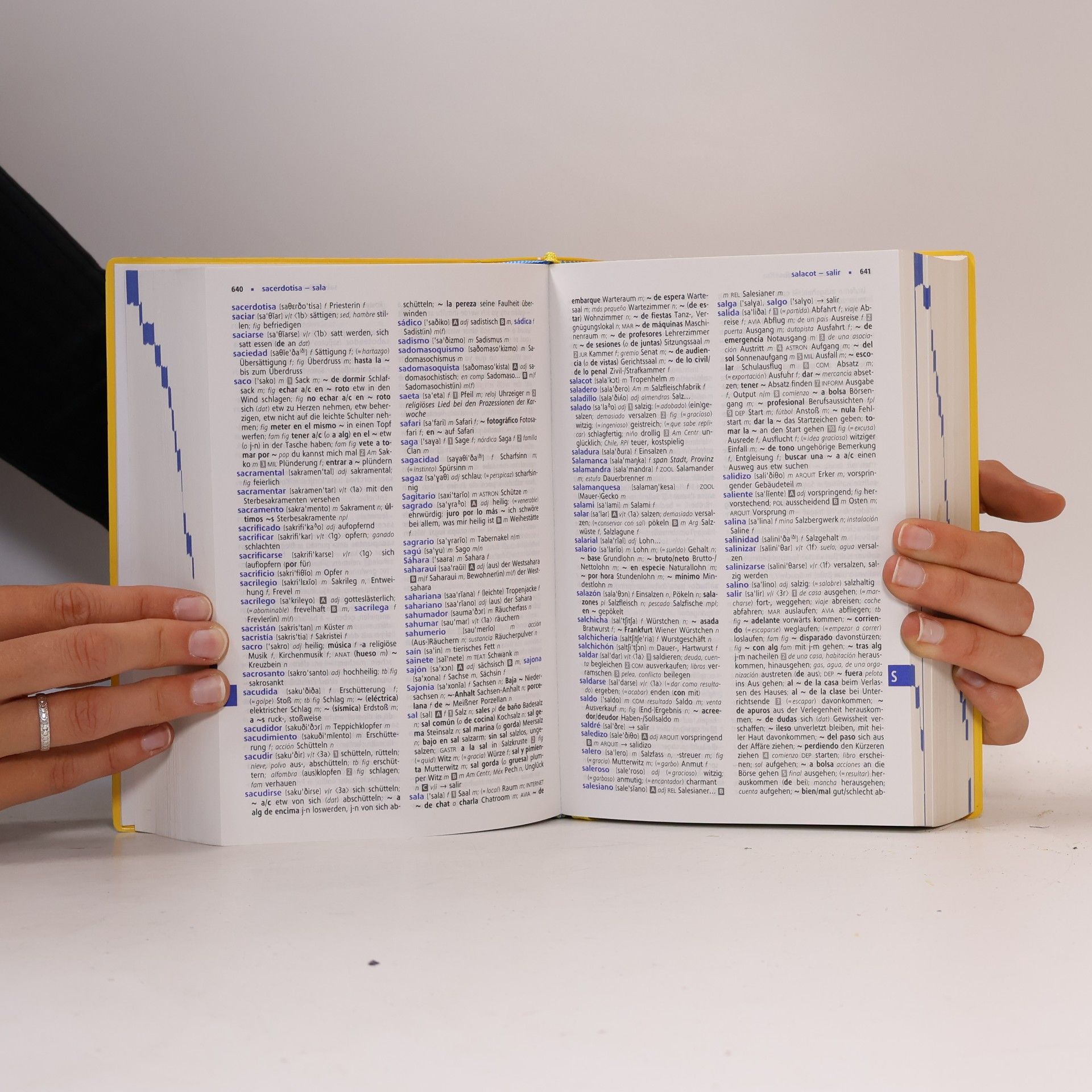 Barbara Epple Langenscheidt, Abitur-Wörterbuch Spanisch