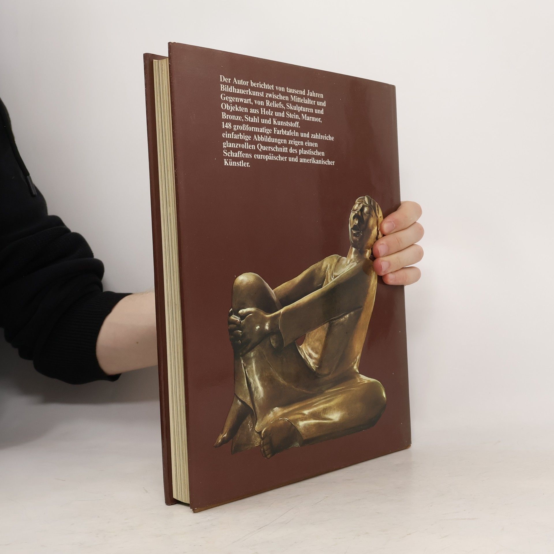 Howard Hibbard Meisterwerke der Skulptur