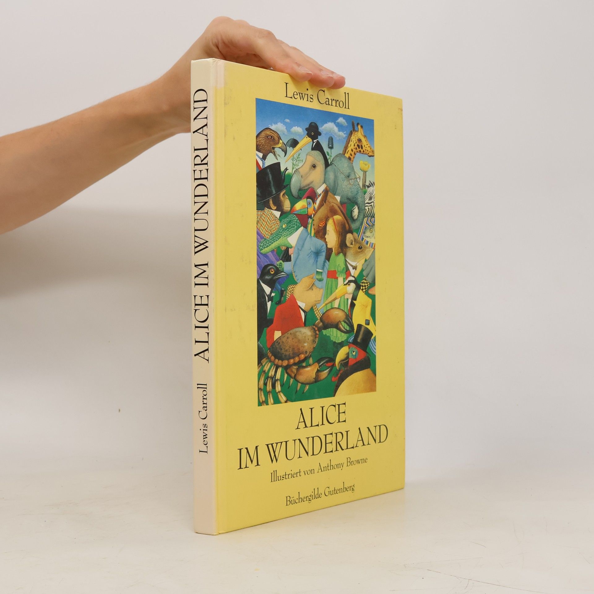 Christian Enzensberger Alice im Wunderland