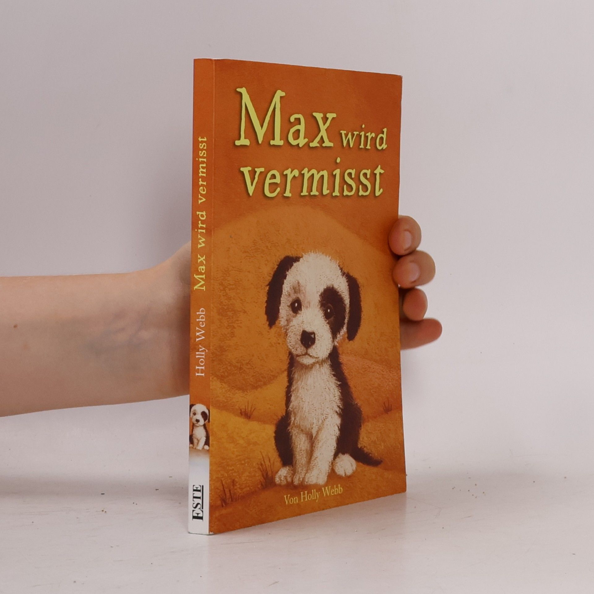 Holly Webb Max wird vermisst