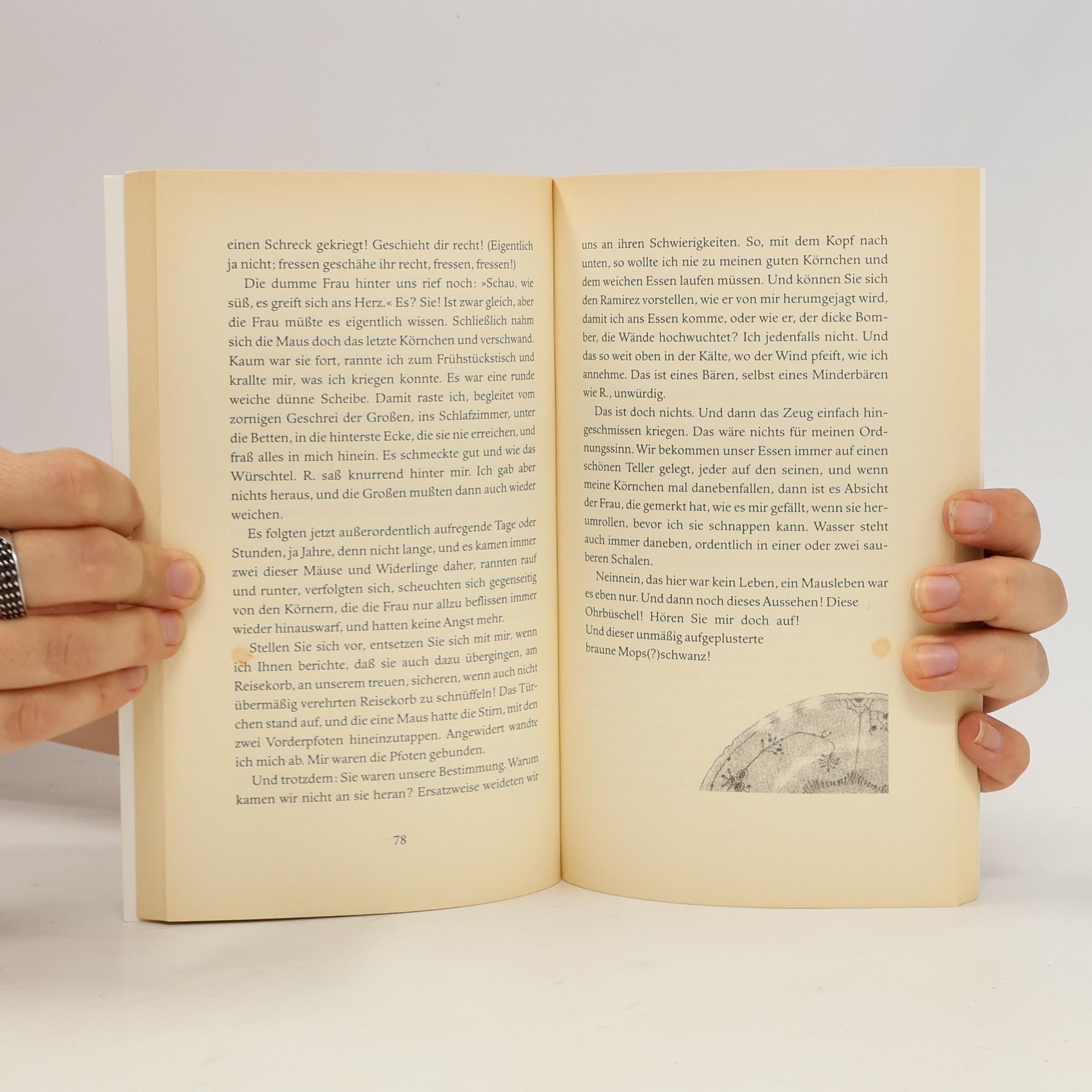 Regina Henscheid Die Memoiren des Miez
