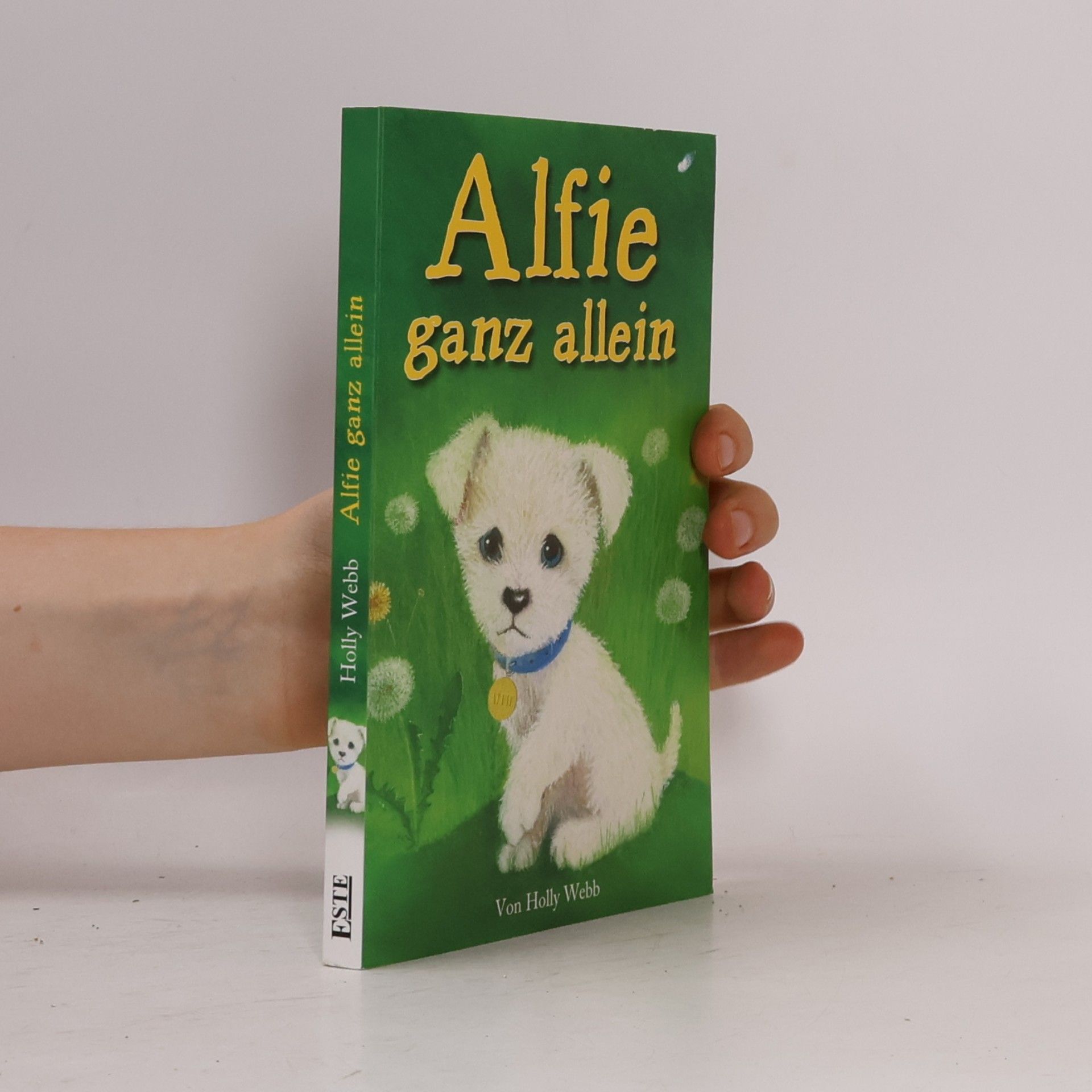 Holly Webb Alfie ganz allein