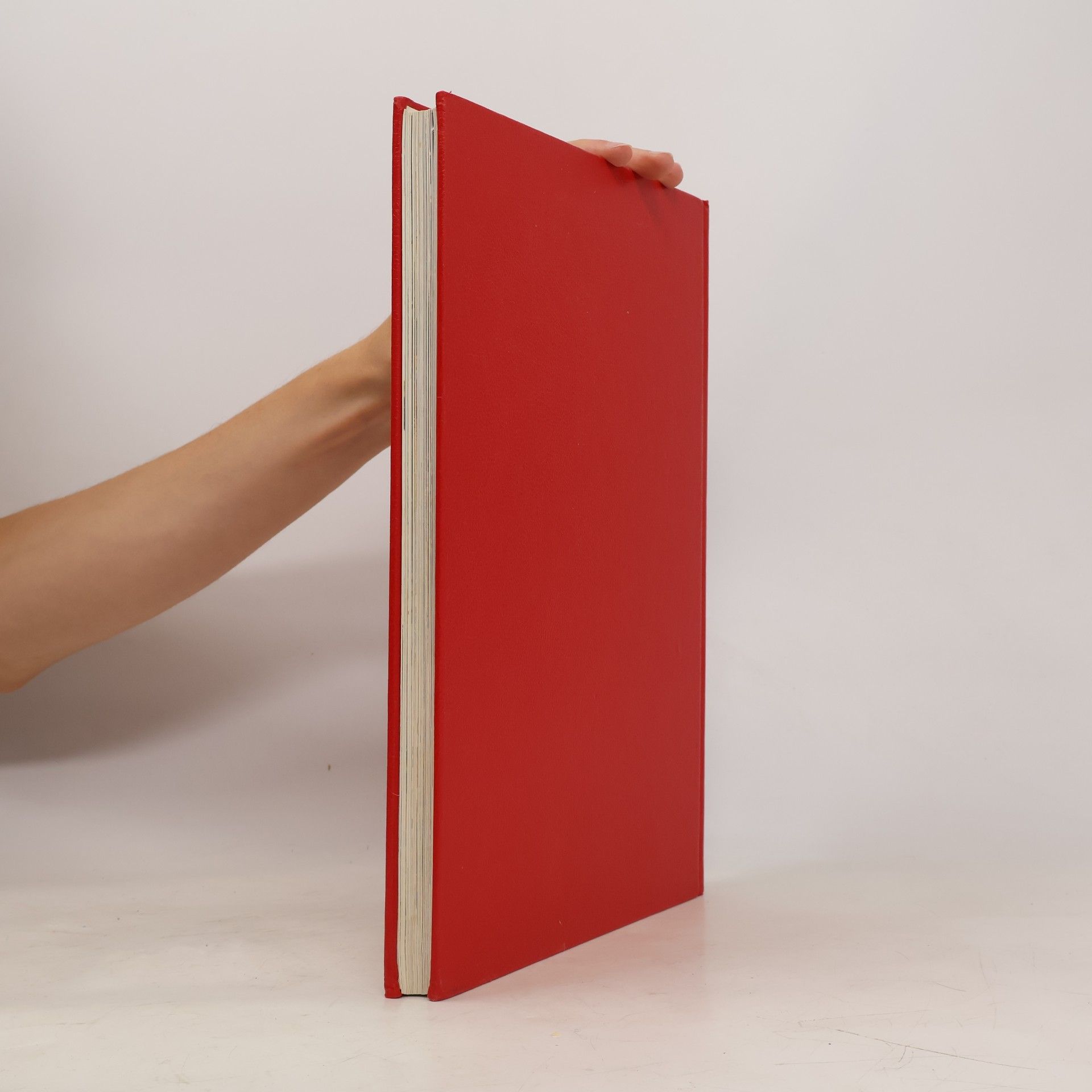 WILL HUYGEN Das grosse Buch der Heinzelmännchen