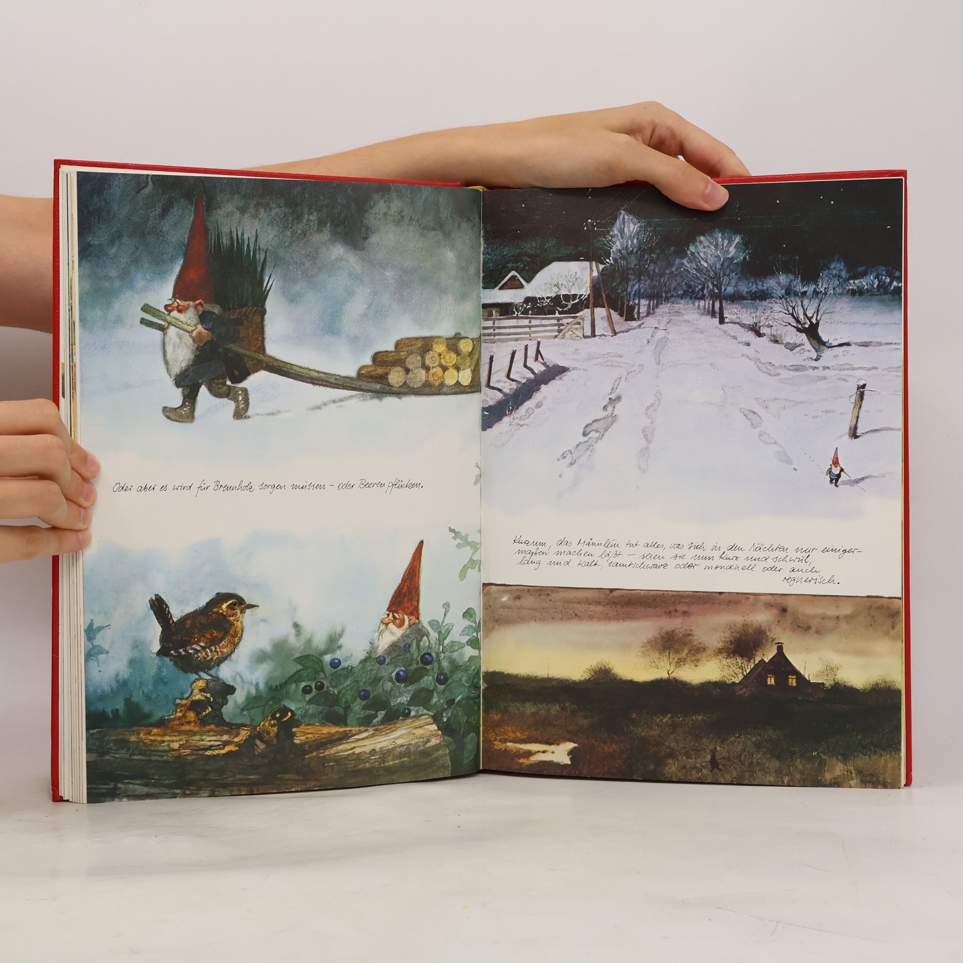 WILL HUYGEN Das grosse Buch der Heinzelmännchen