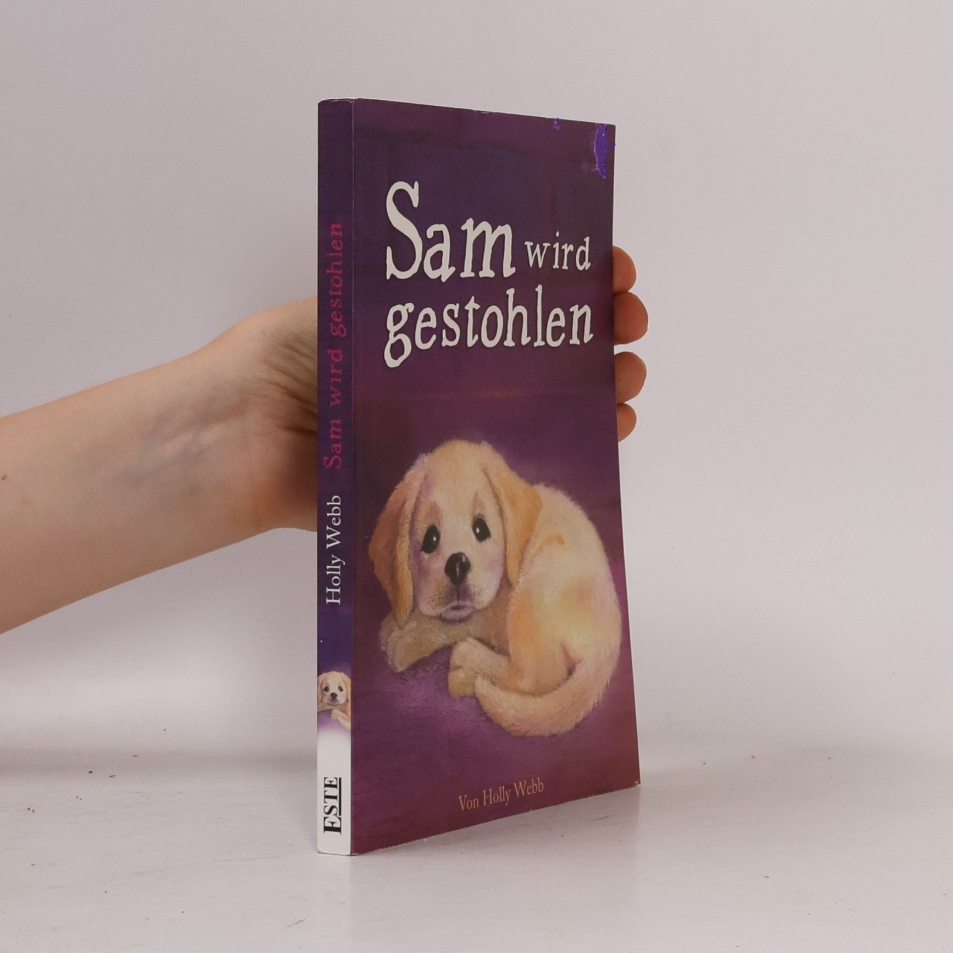 Holly Webb Sam wird gestohlen
