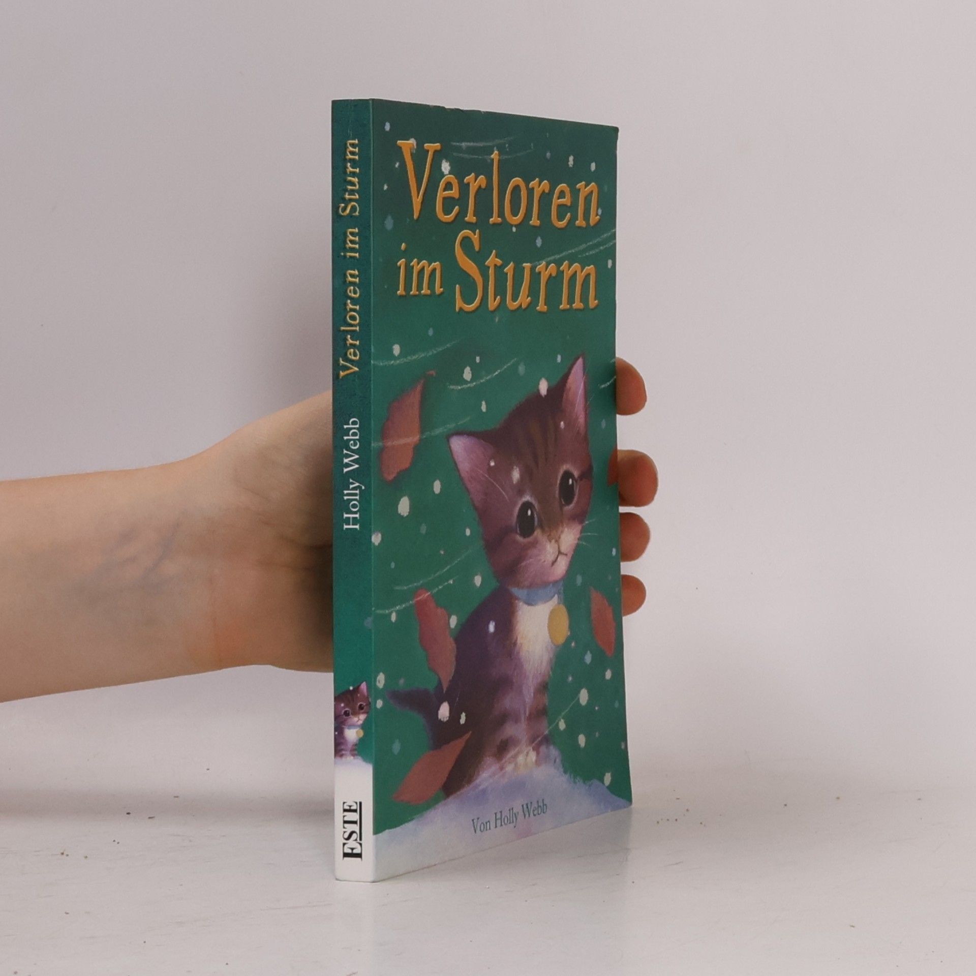 Holly Webb Verloren im Sturm