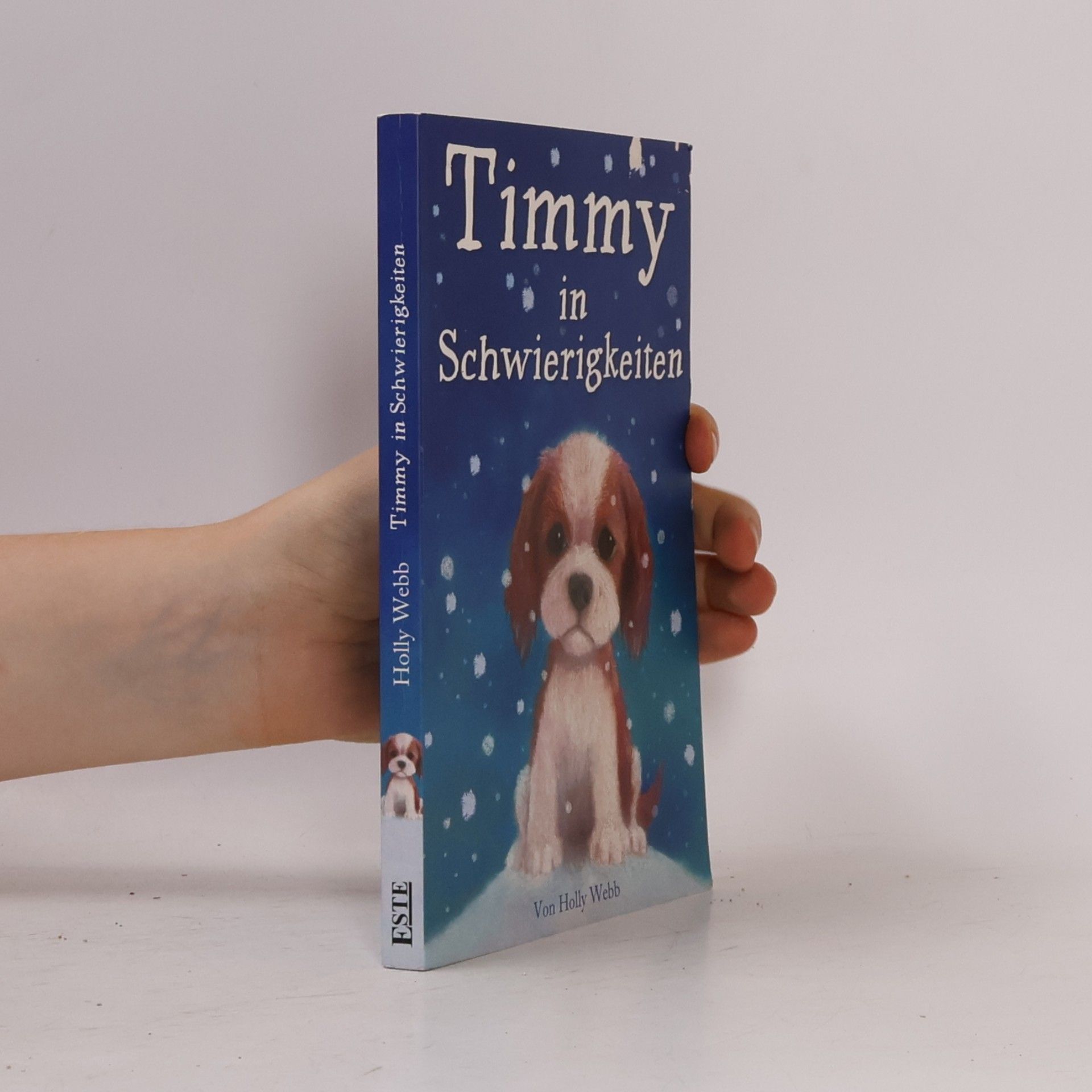 Holly Webb Timmy in Schwierigkeiten