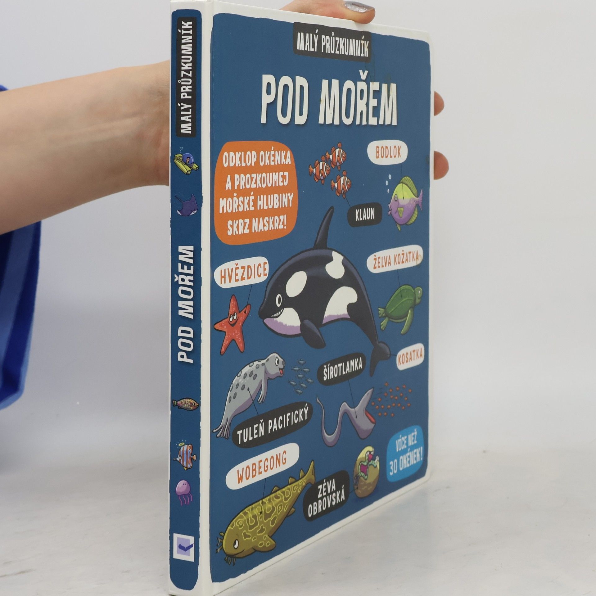 Kolektiv autorů Pod mořem