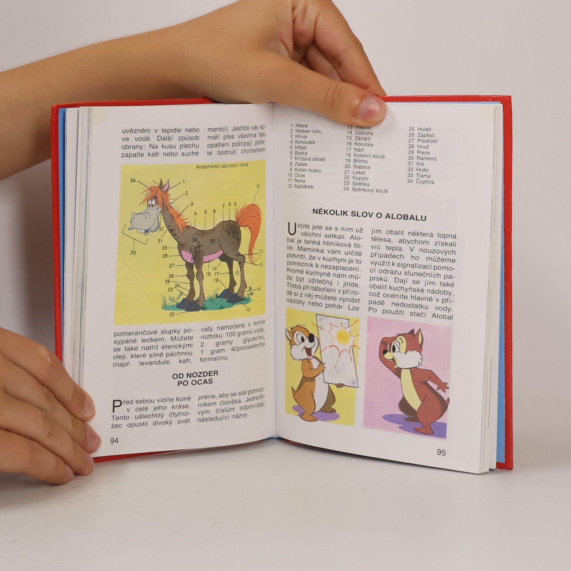 Walt Disney 3. příručka mladých svišťů