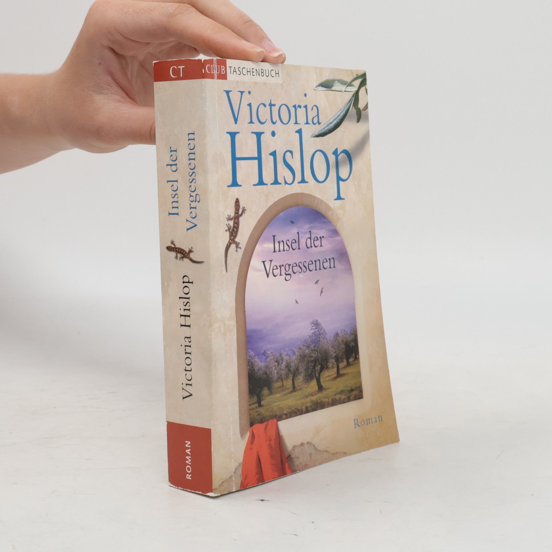 Victoria Hislop Insel der Vergessenen