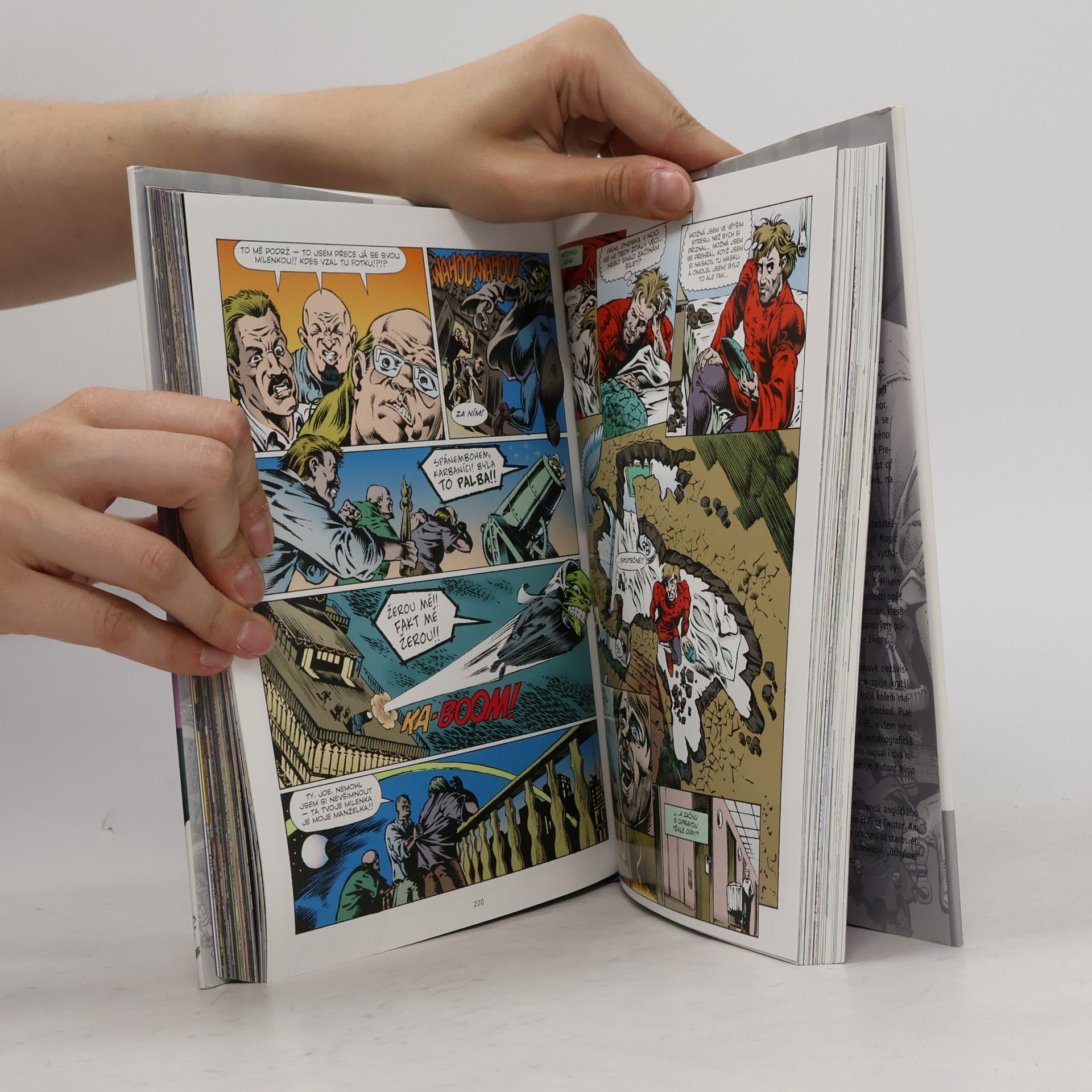 Evan Dorkin Maska omnibus. Kniha druhá