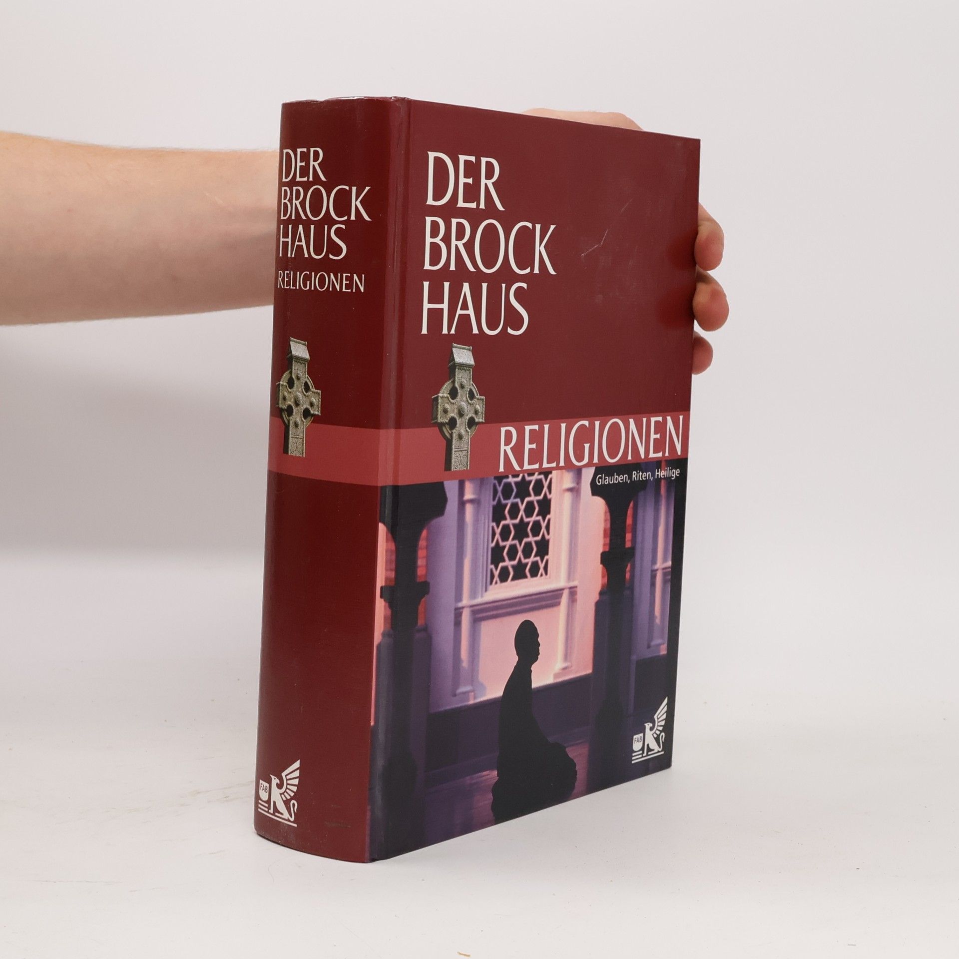 Thomas Bliesener Der Brockhaus, Psychologie
