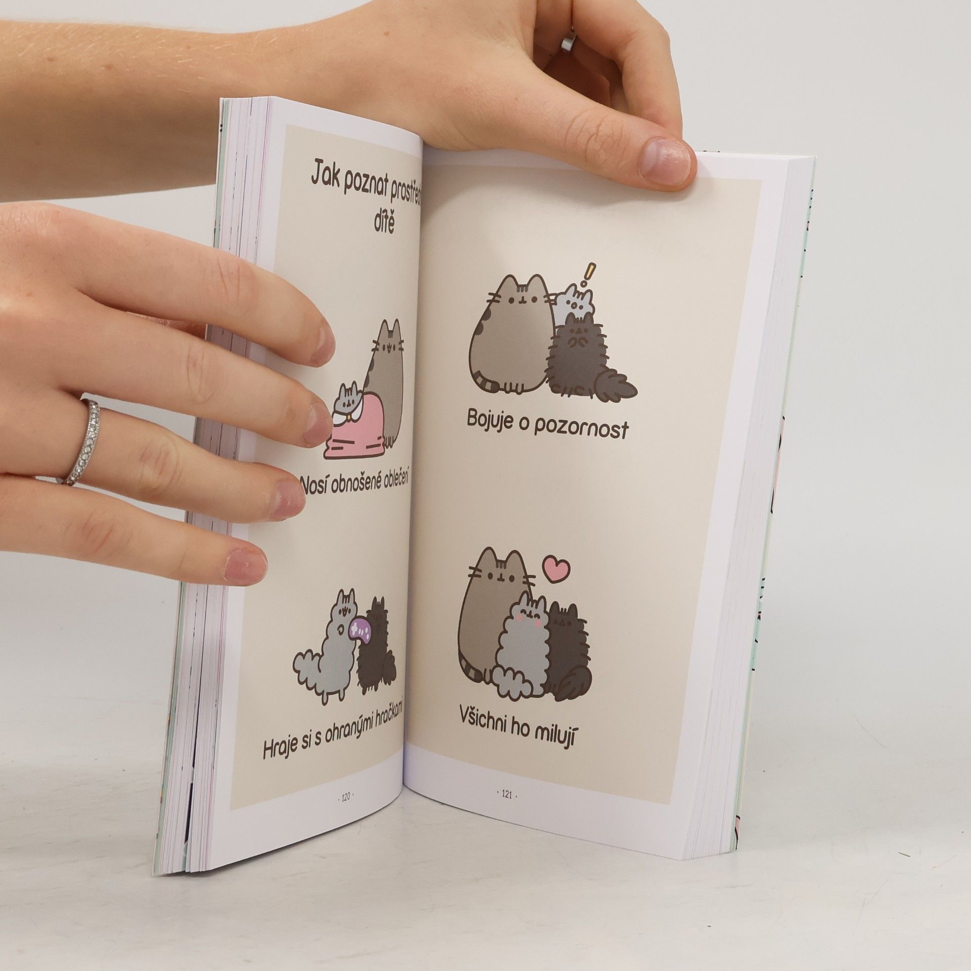 Claire Belton Pusheen : košišatý návod na život
