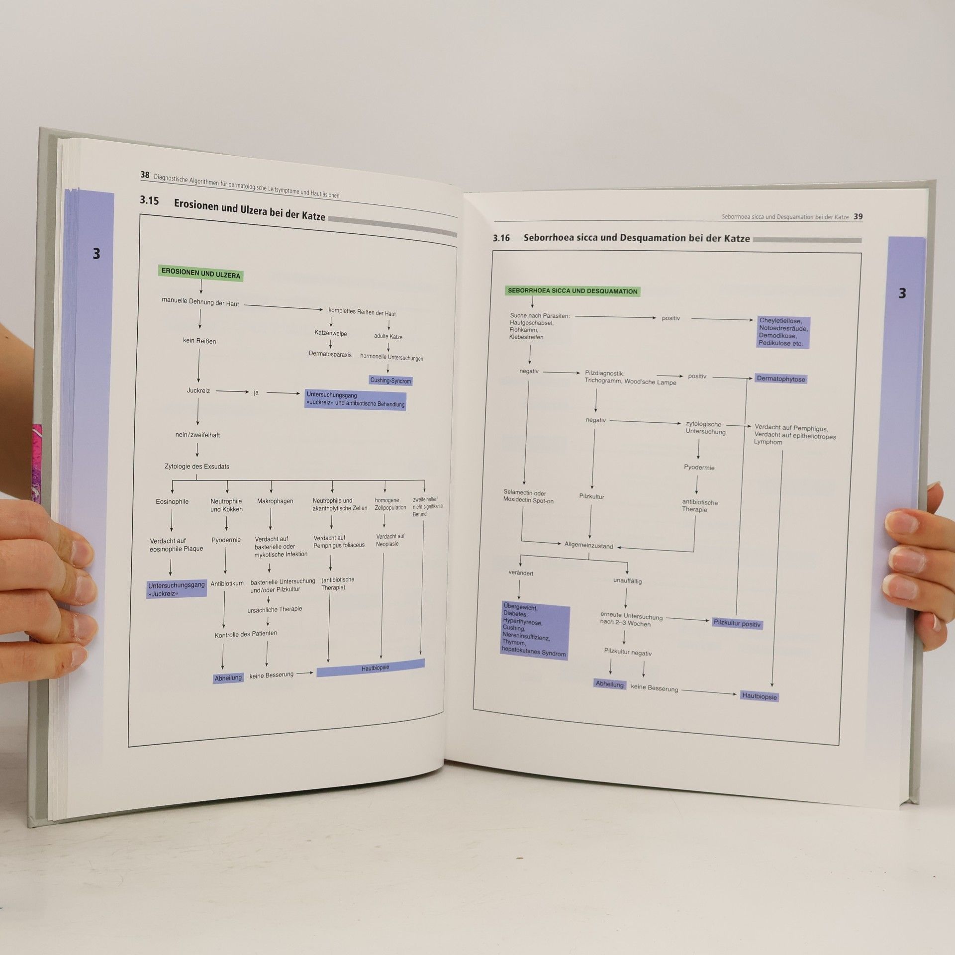 Chiara Noli Dermatologie in der Kleintierpraxis