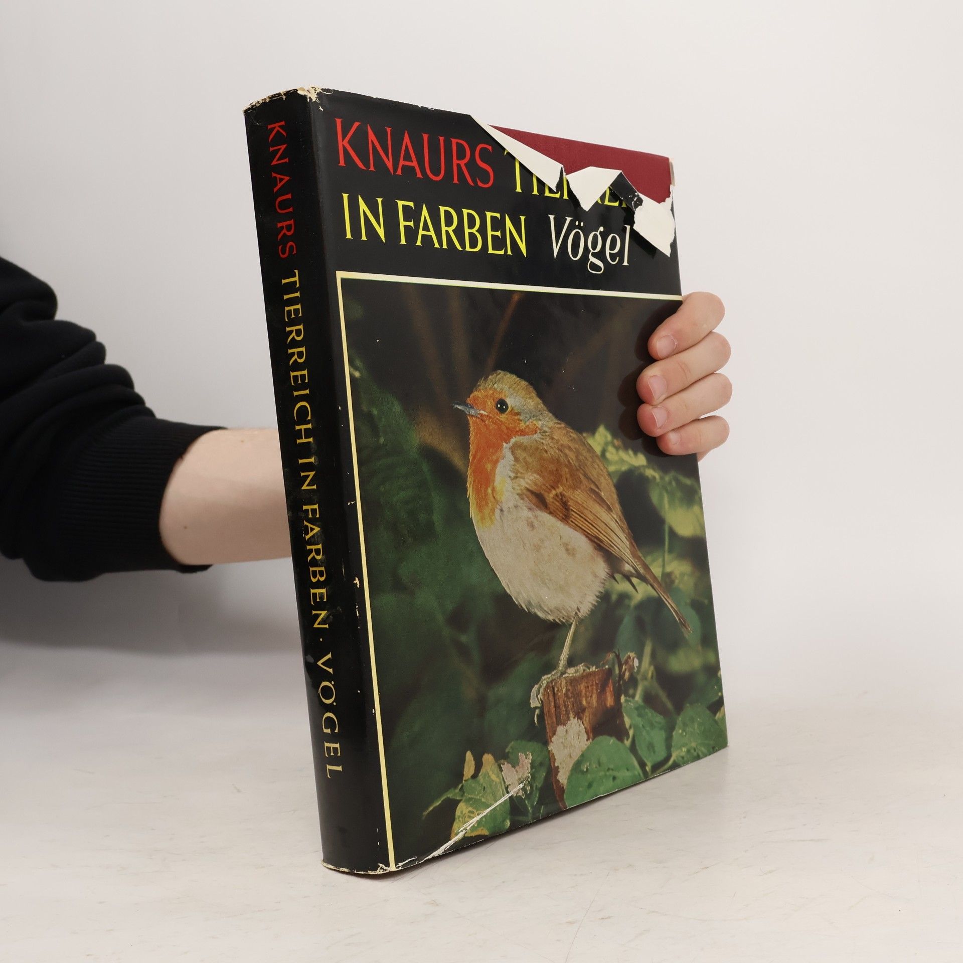 Autorenkollektiv Knaurs Tierreich in Farben. Vögel
