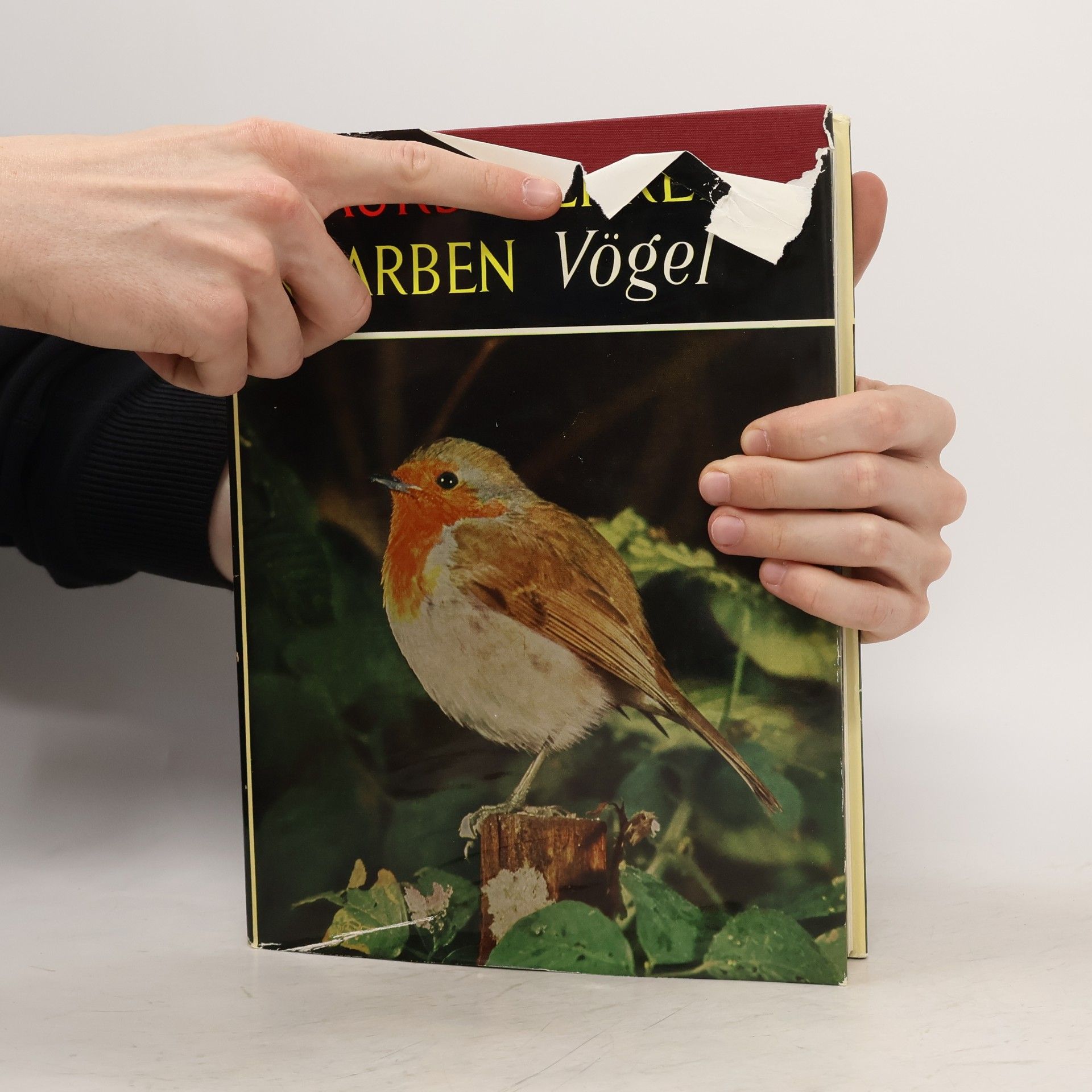 Autorenkollektiv Knaurs Tierreich in Farben. Vögel