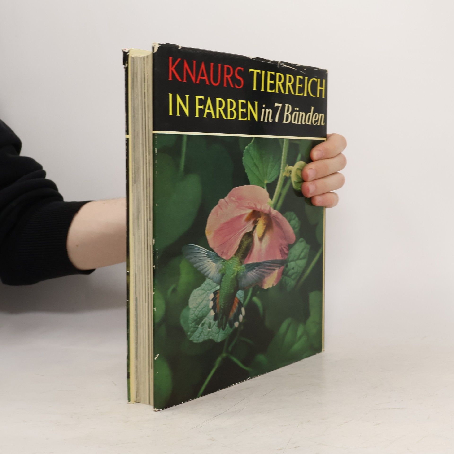 Autorenkollektiv Knaurs Tierreich in Farben. Vögel