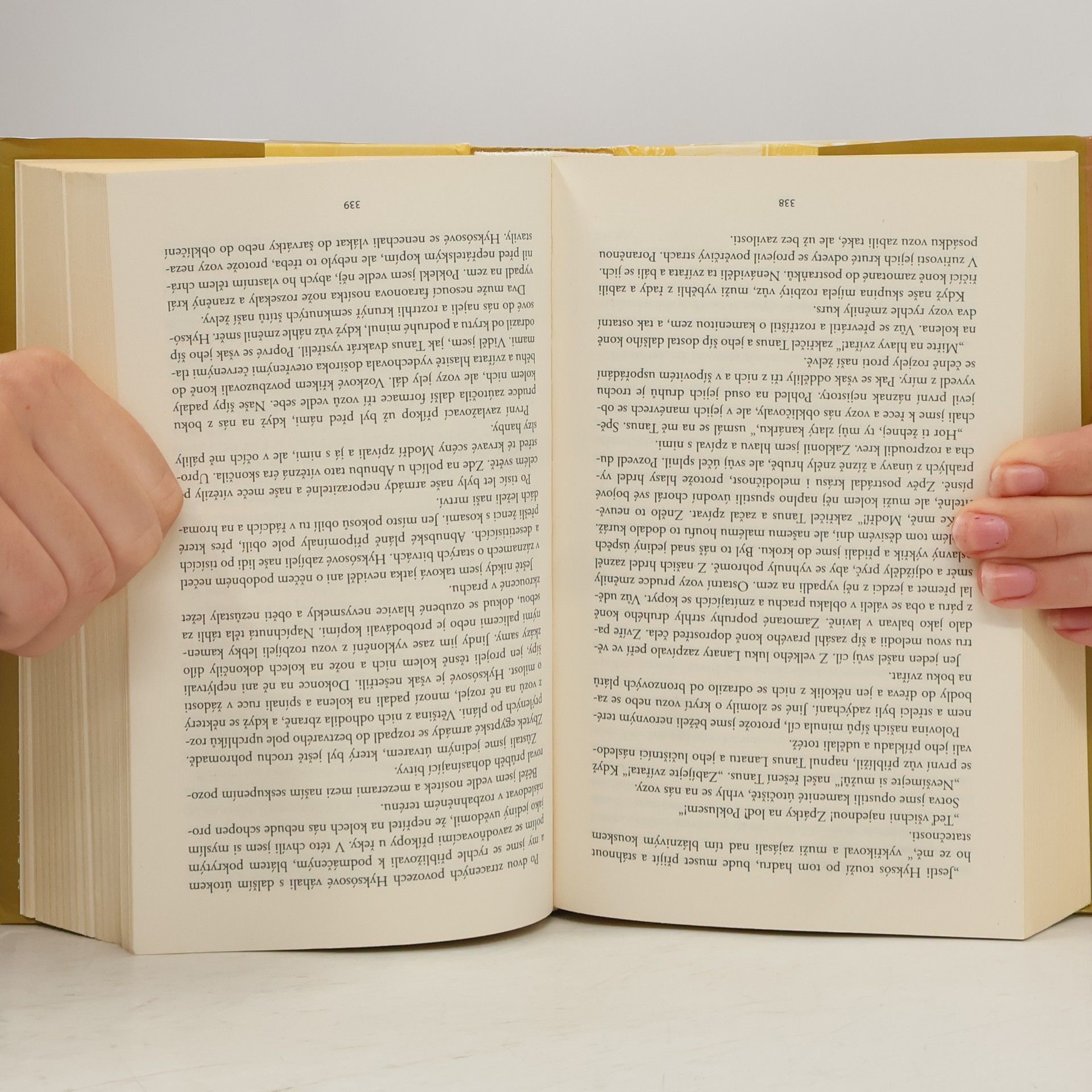 Wilbur Smith Řeka bohů