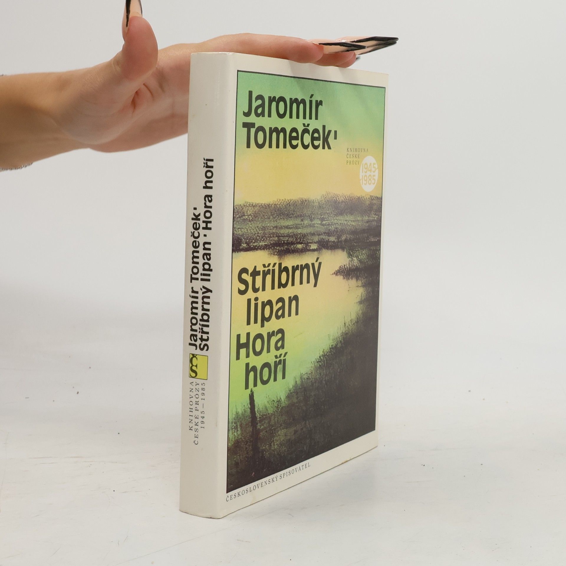 Jaromír Tomeček Stříbrný lipan. Hora hoří.