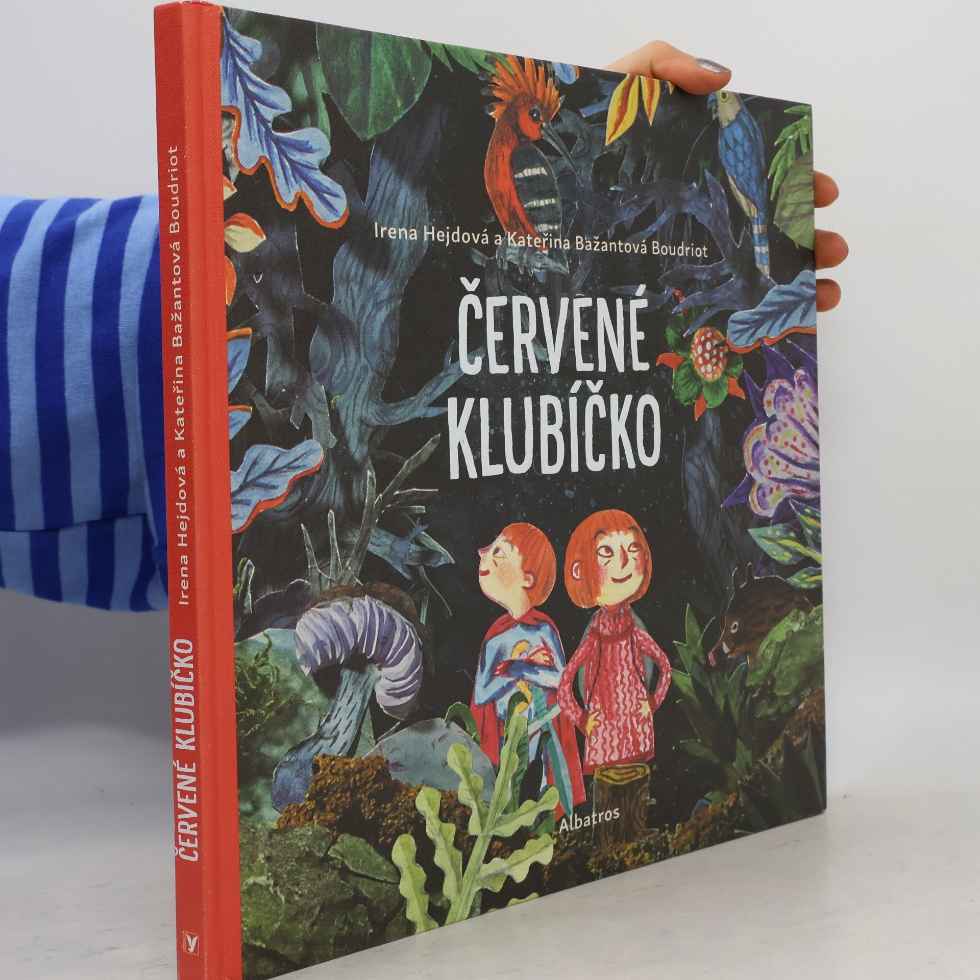 Irena Hejdová Červené klubíčko