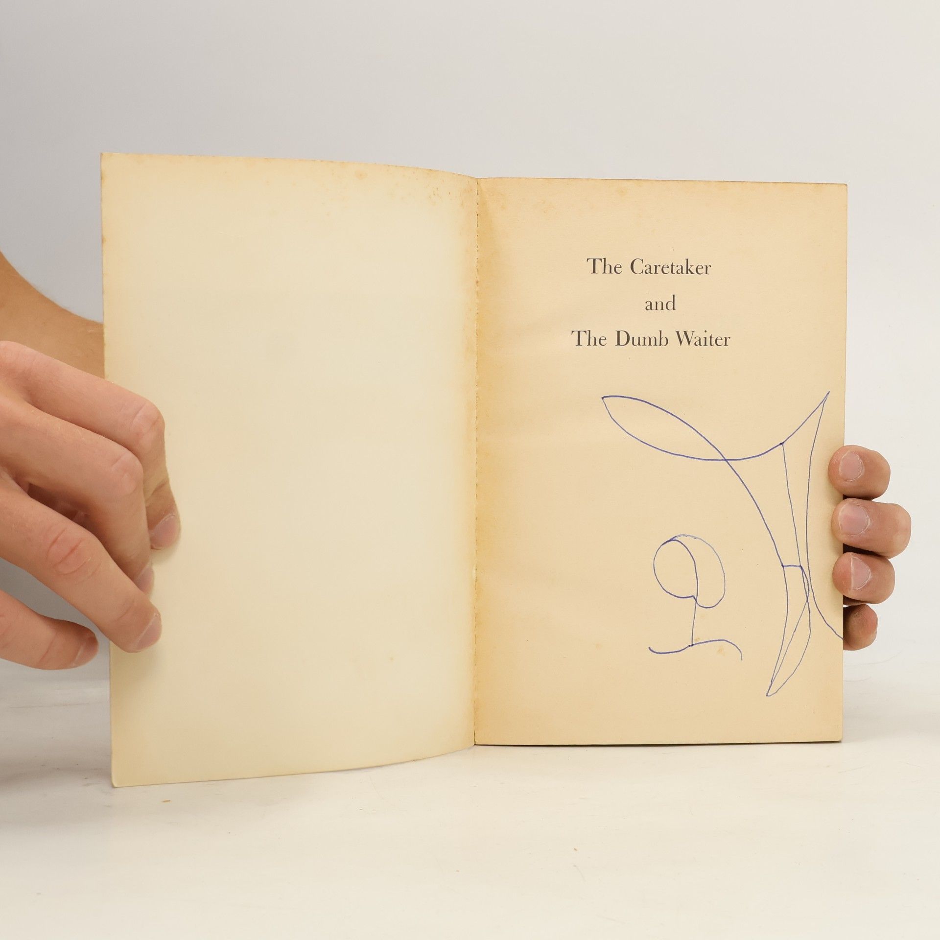 Harold Pinter The Caretaker & The Dumb Waiter