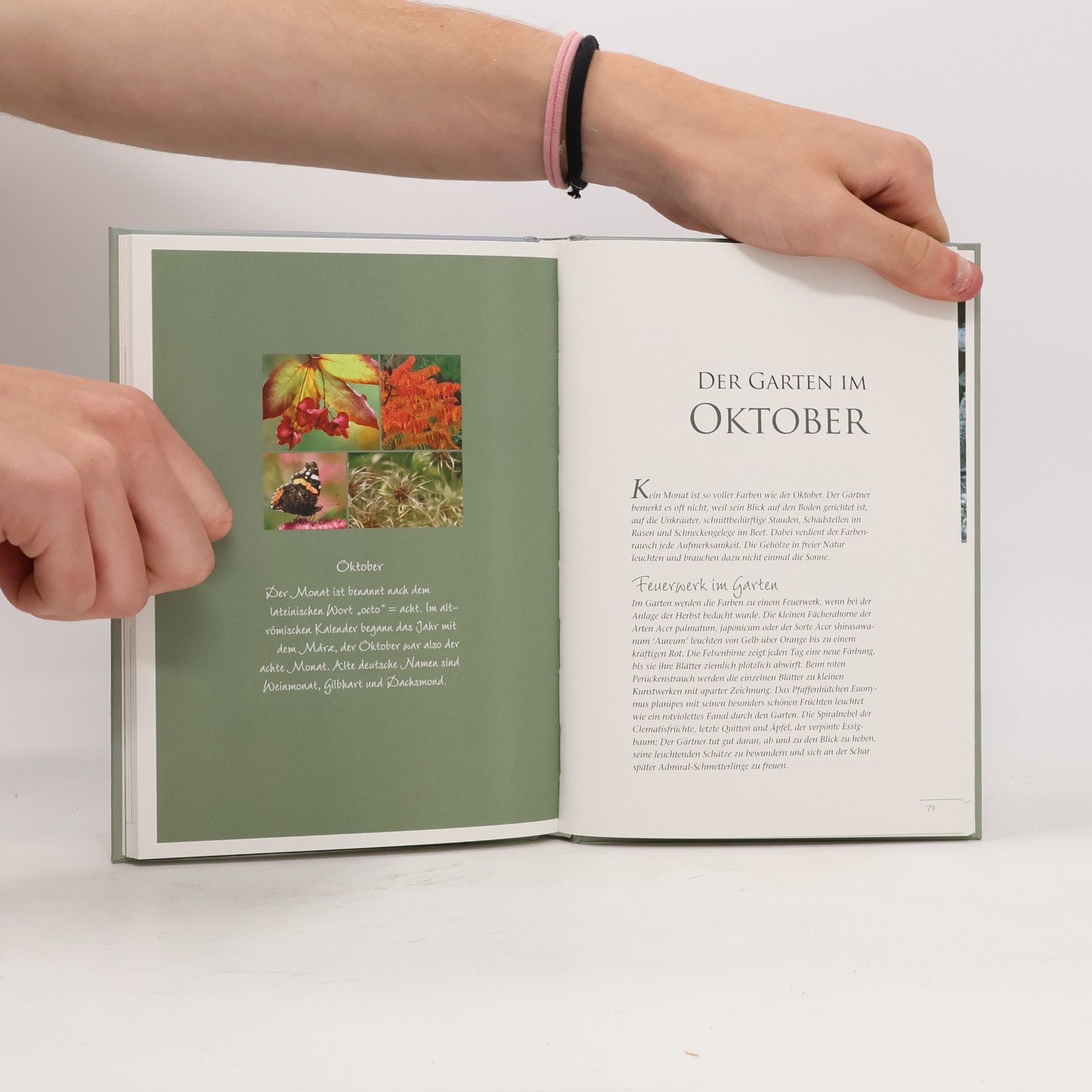 Renate Tegtmeyer Gartentagebuch