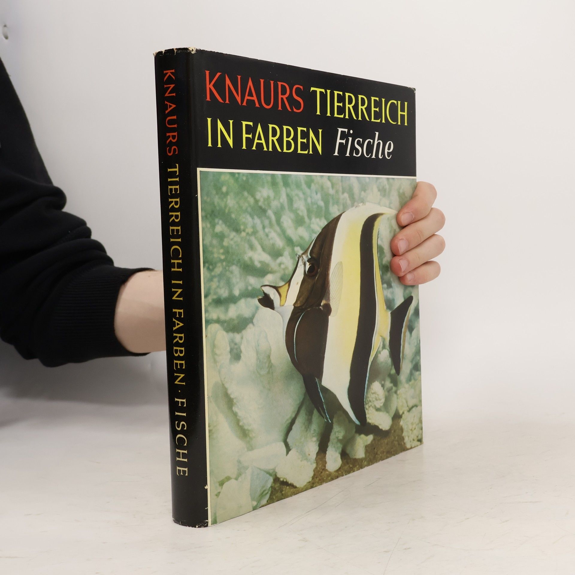 Collectif d'auteurs Knaurs Tierreich in Farben. Fische