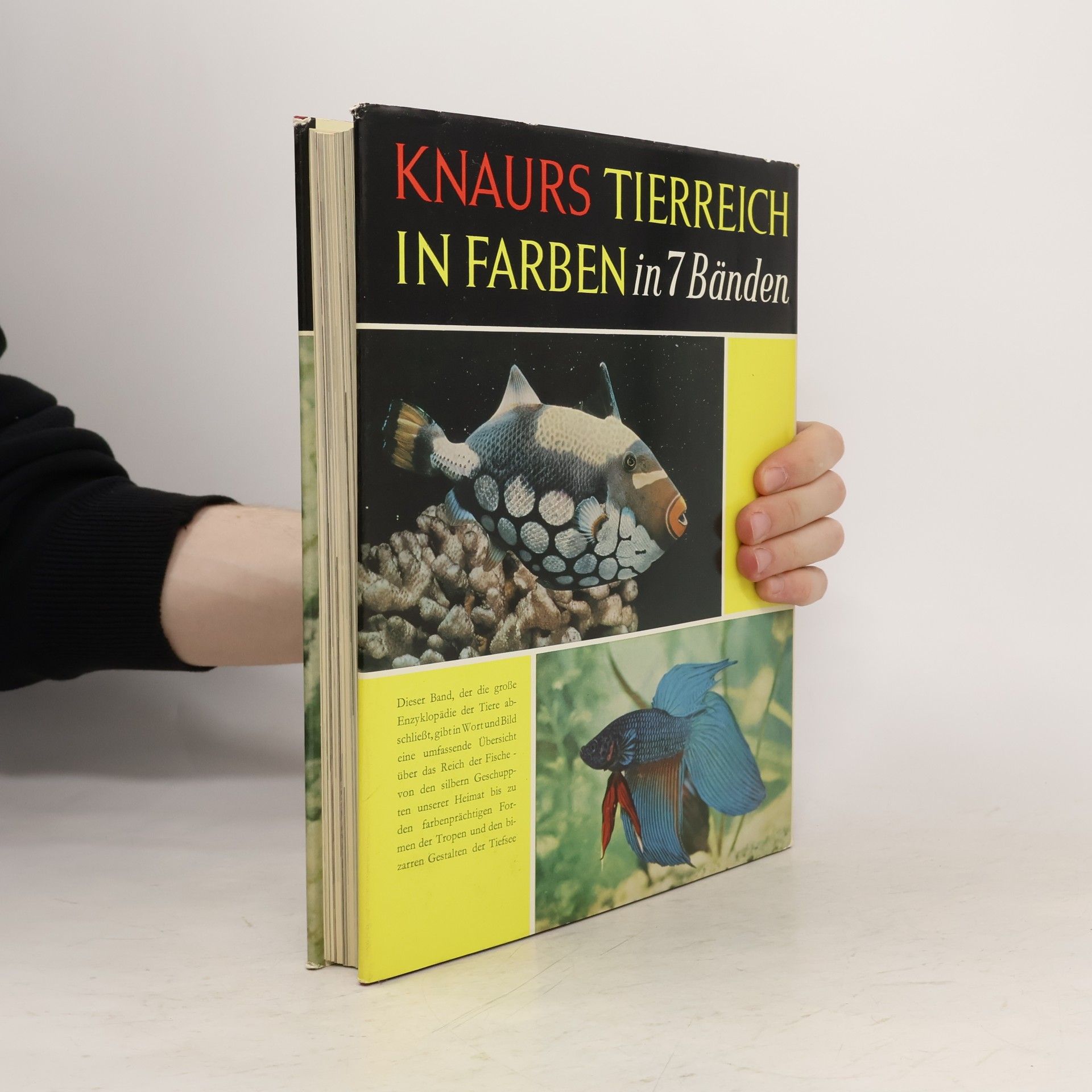 Collectif d'auteurs Knaurs Tierreich in Farben. Fische
