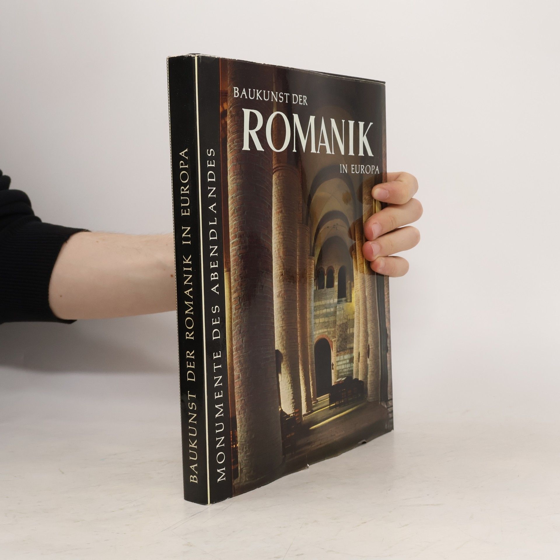 Kolektív autorov Baukunst der Romantik in Europa