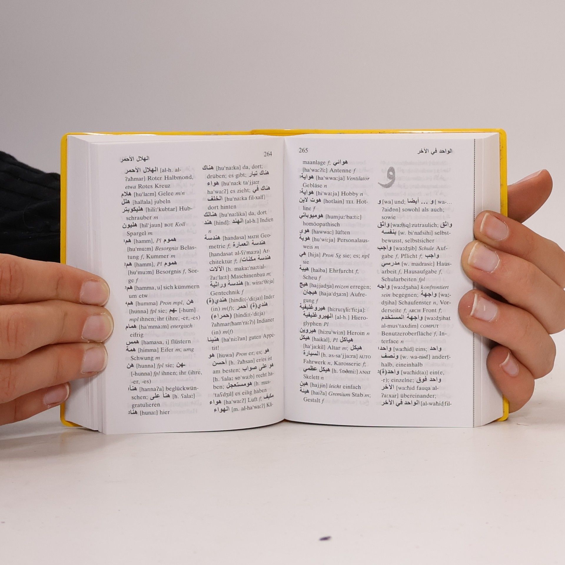 Sabrina Cherubini Langenscheidt, Universal-Wörterbuch Arabisch