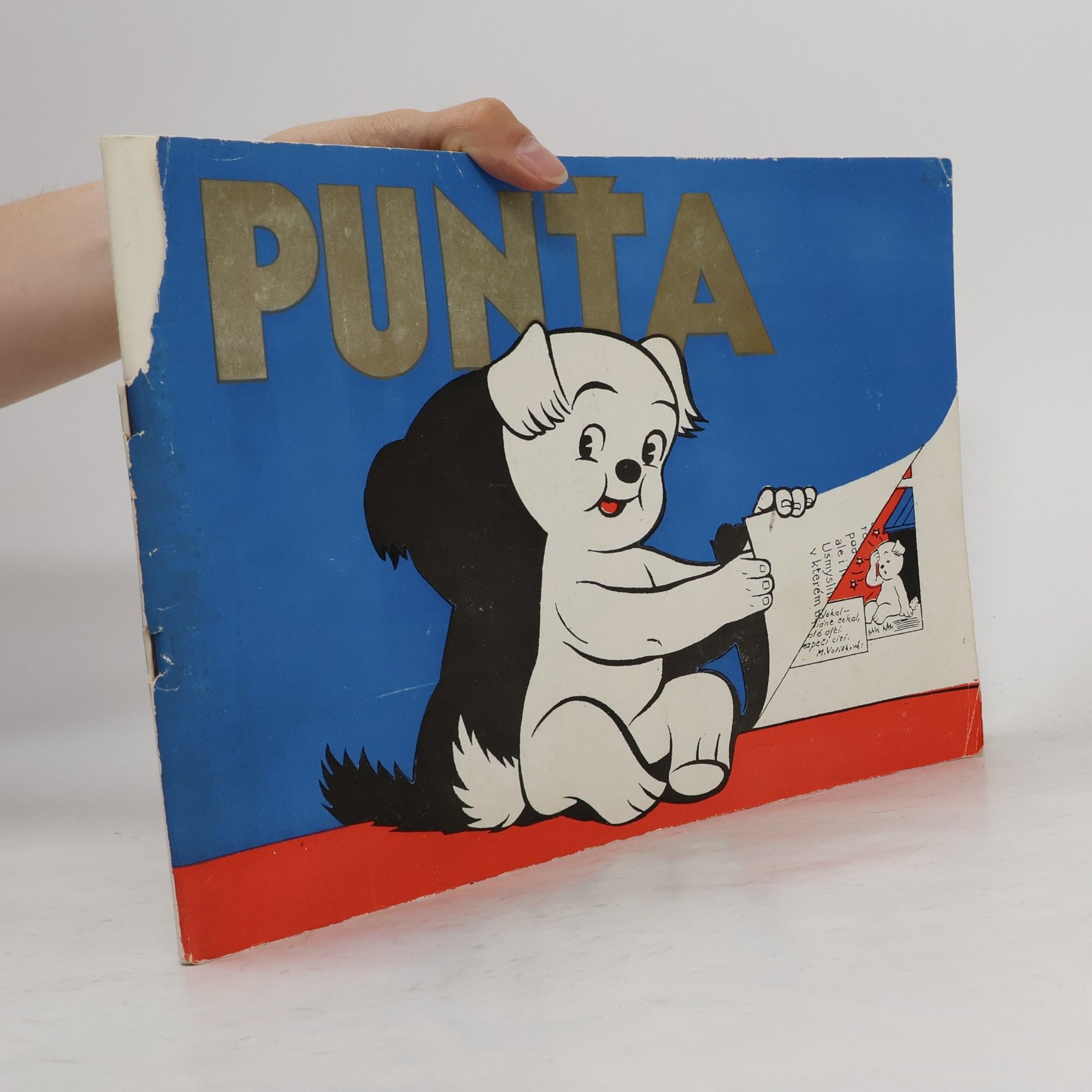 Blanka Svačinová Punťa