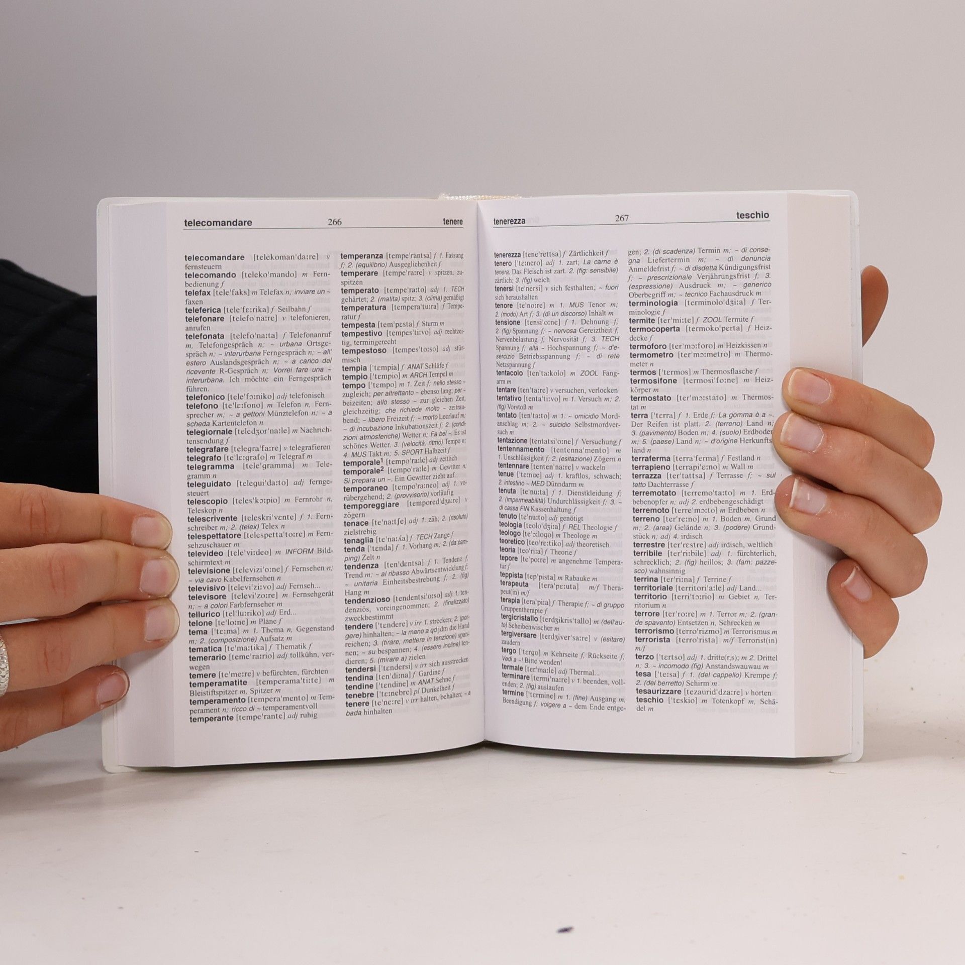 Autorenkollektiv Italienisch wörterbuch