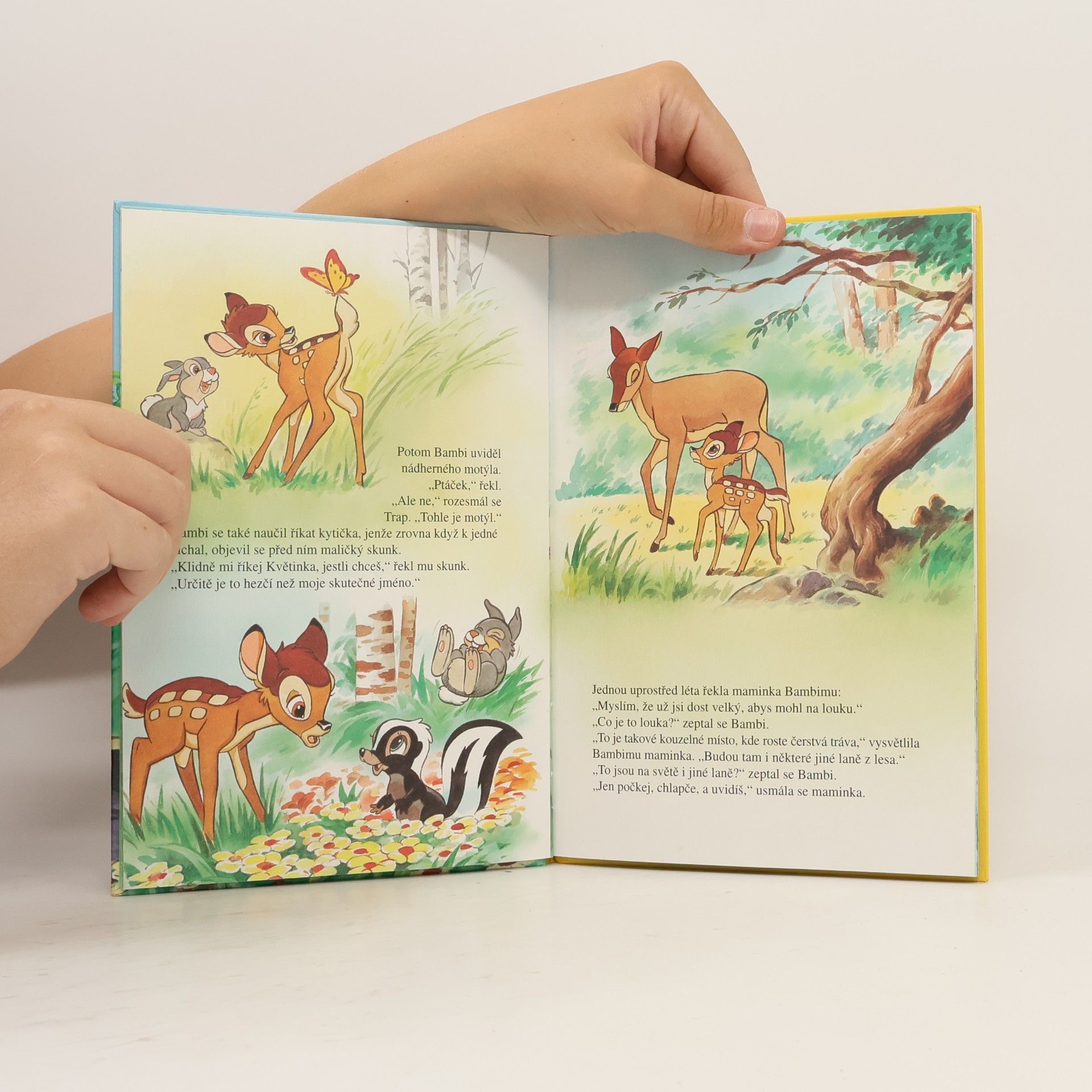 Walt Disney Bambi