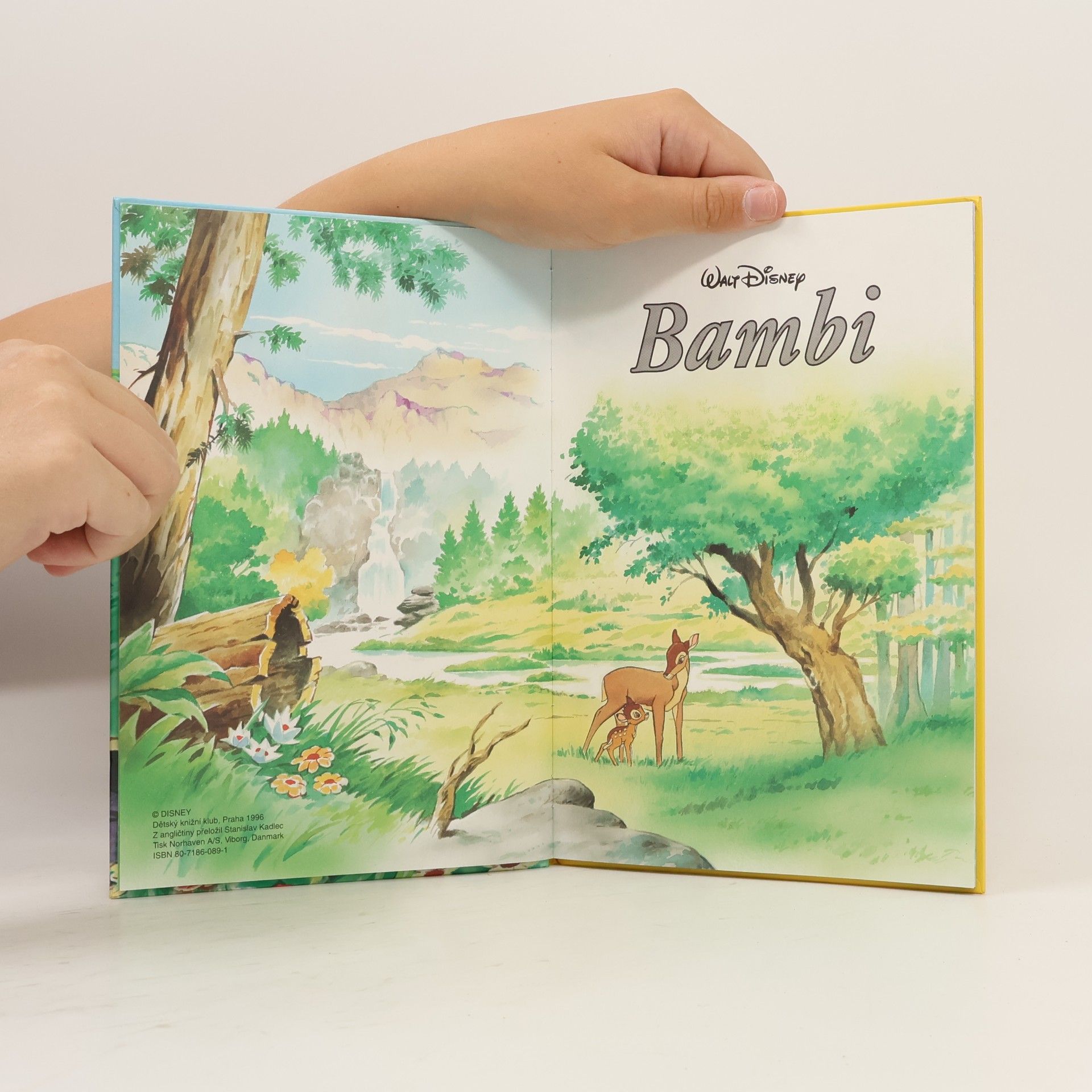 Walt Disney Bambi