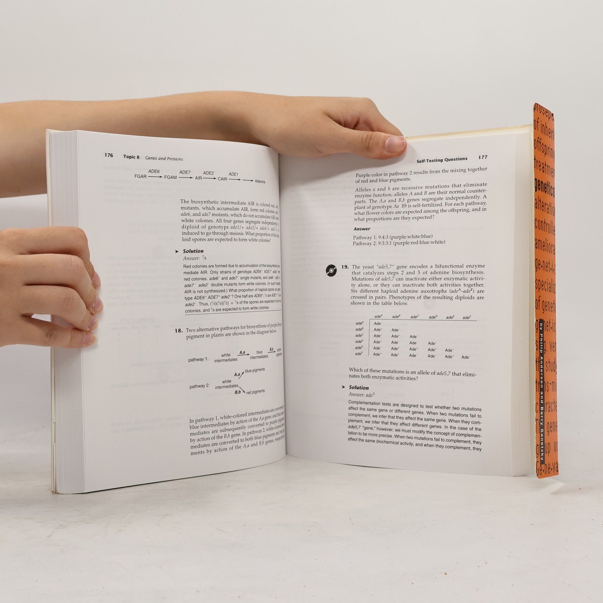 Philip Anderson Electronic Companion to Genetics (Electronic Companion)