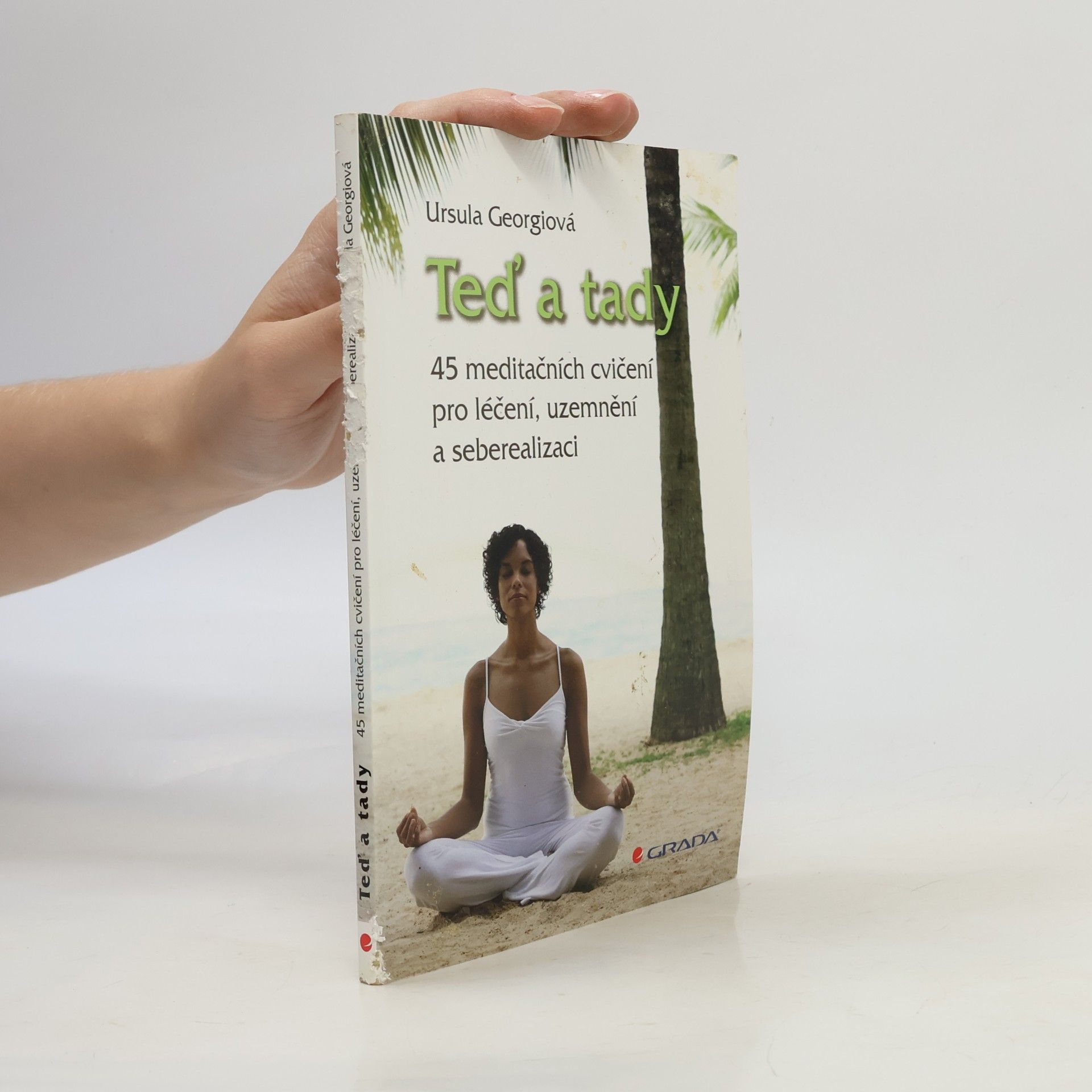 Ursula Georgii Teď a tady. 45 meditačních cvičení pro léčení, uzemnění a seberealizaci