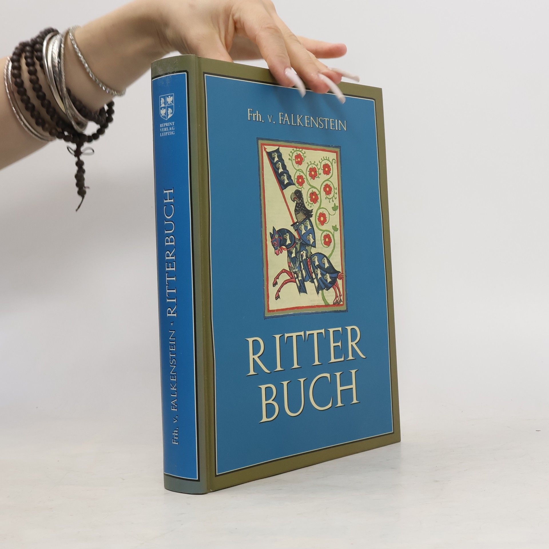 Freiherr von Falkenstein Ritterbuch