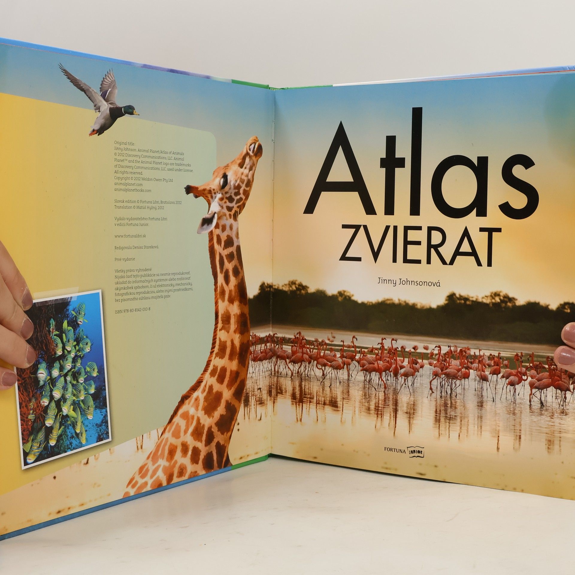 Kolektiv autorů Atlas zvierat