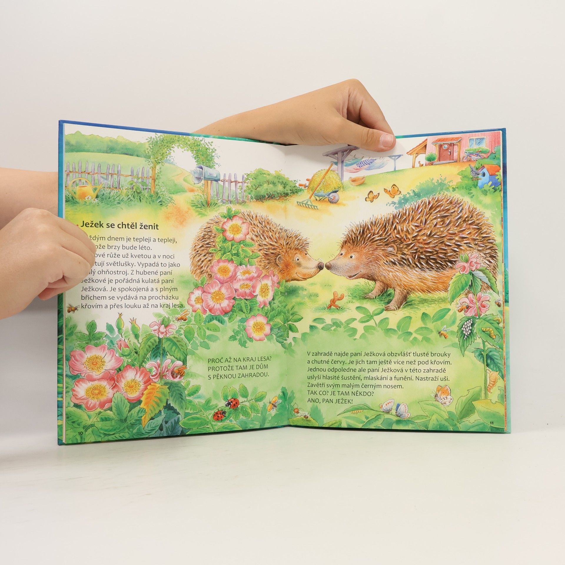 Friederun Reichenstetter Ježci. Jak vyrůstají a žijí?