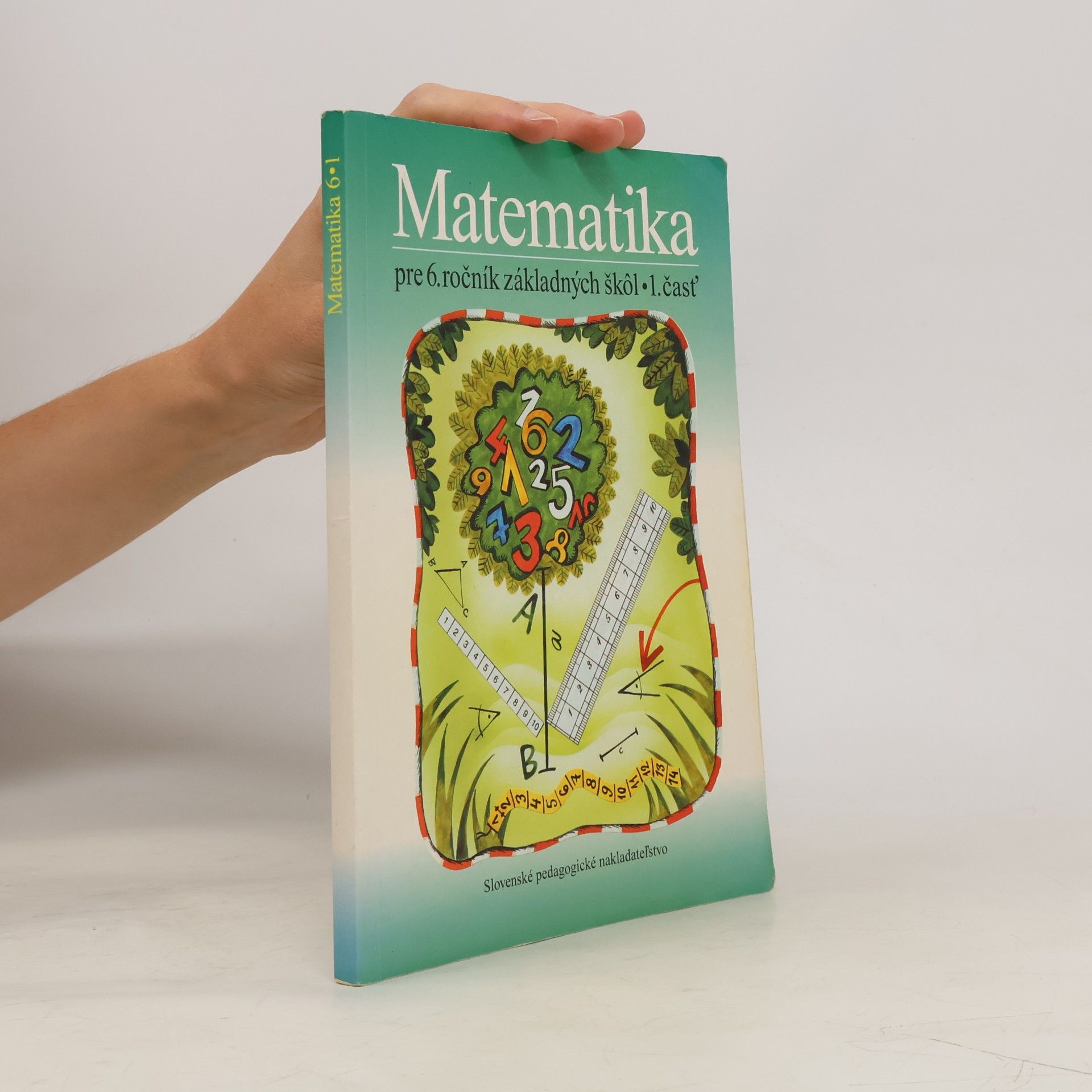 Autorenkollektiv Matematika pre 6. ročník základných škôl. 1. časť