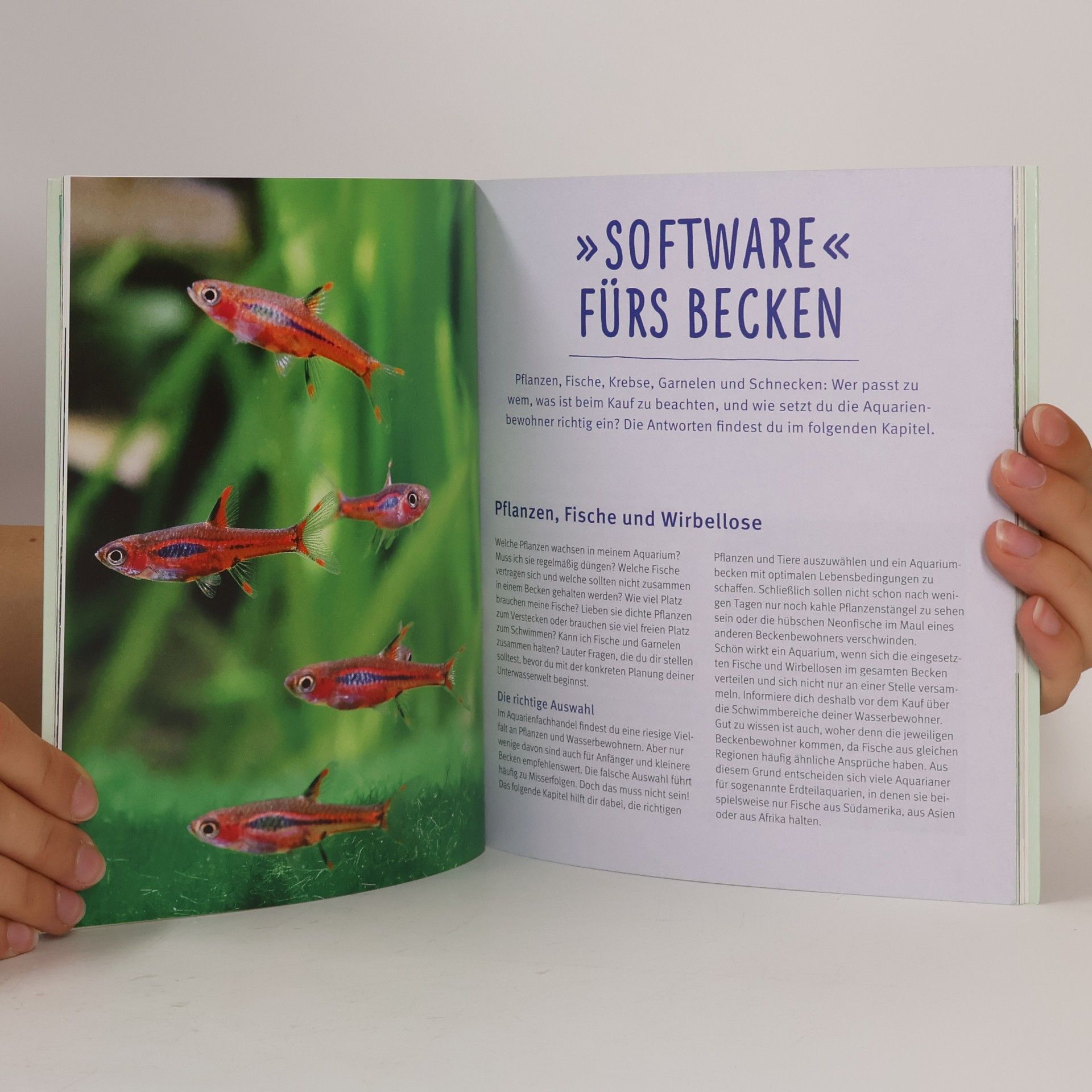 Ingo Koslowski Aquarien - Spass für Kinder