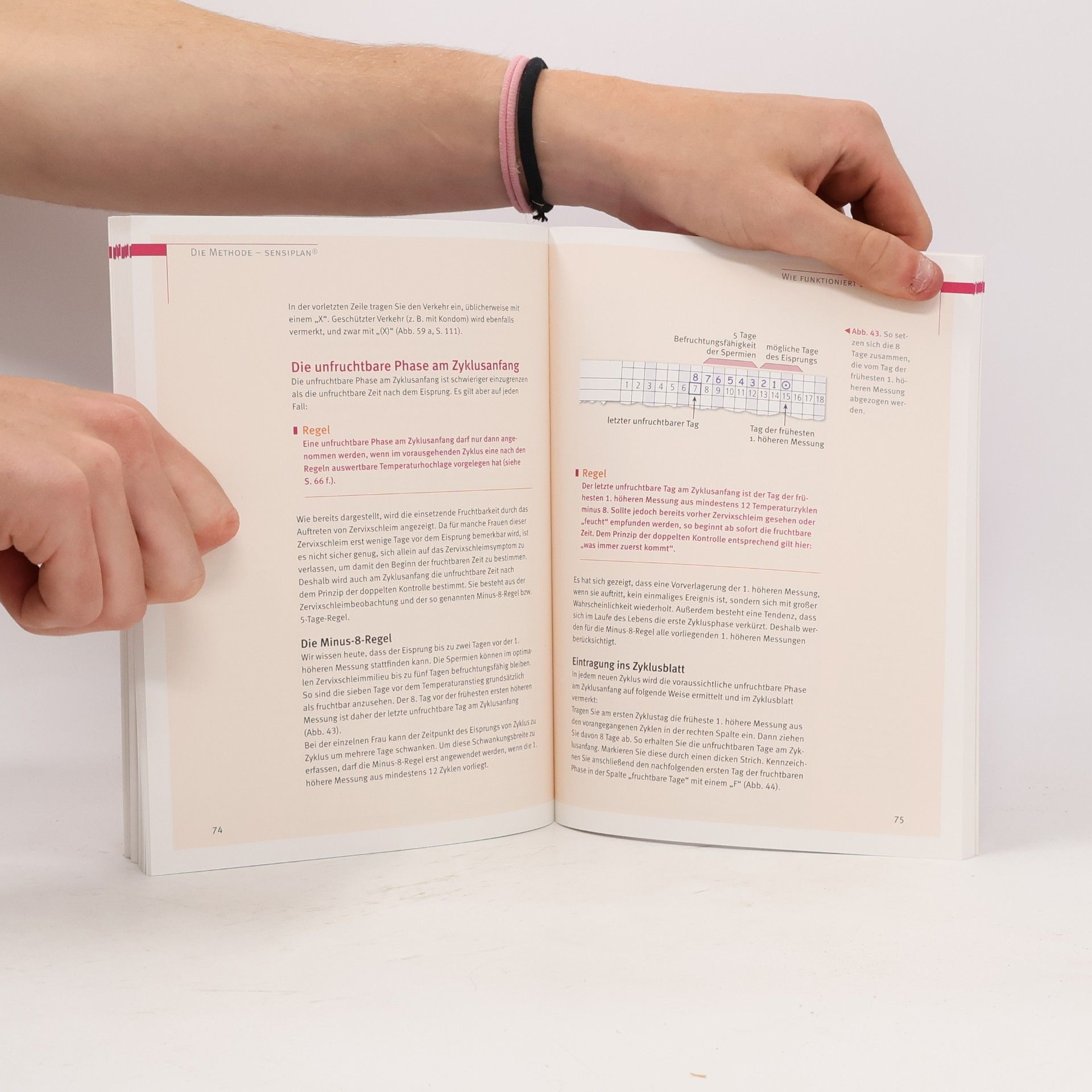 Autorenkollektiv Natürlich & sicher - Das Praxisbuch