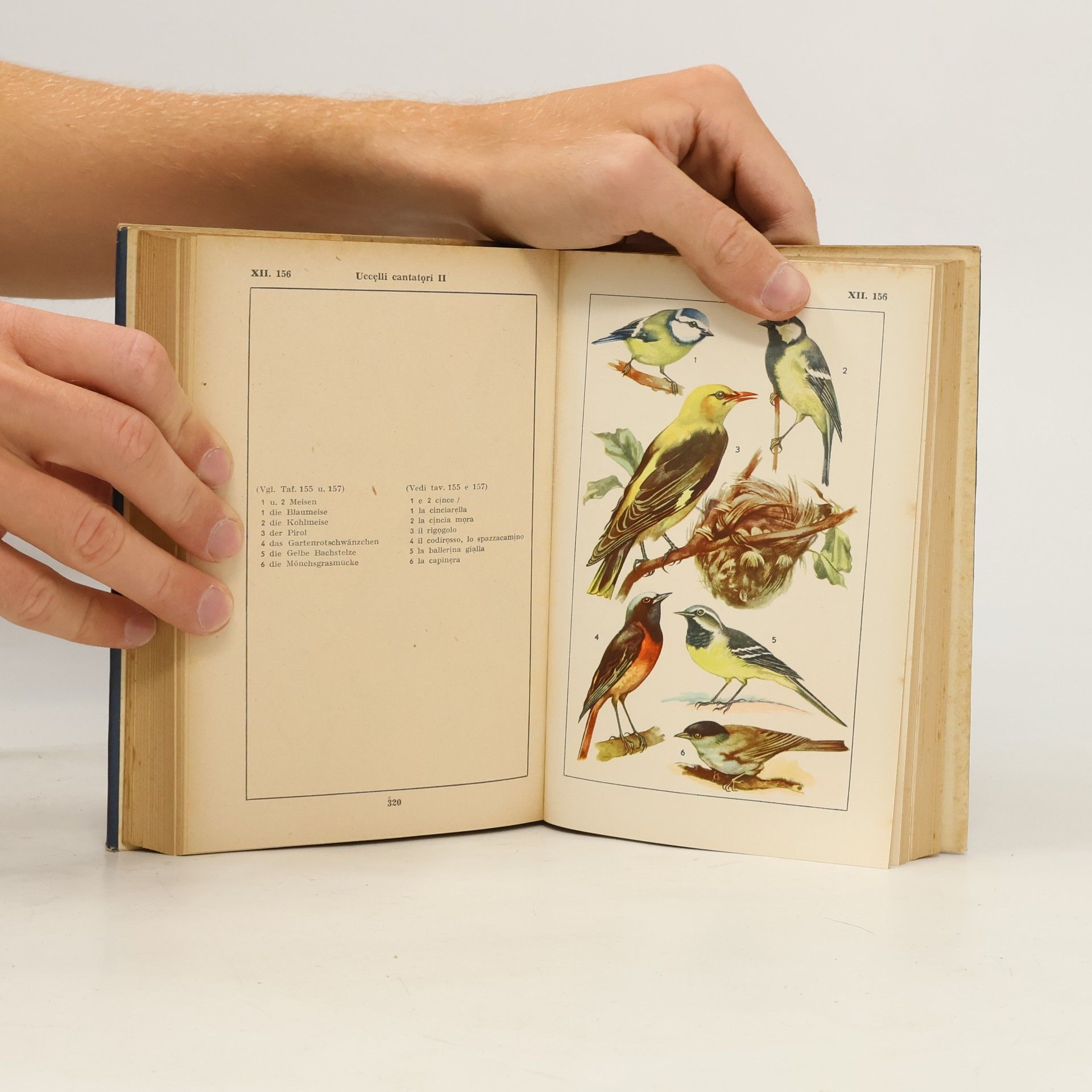 Kolektiv autorů Bild Wörterbuch. Deutsch und Italienisch