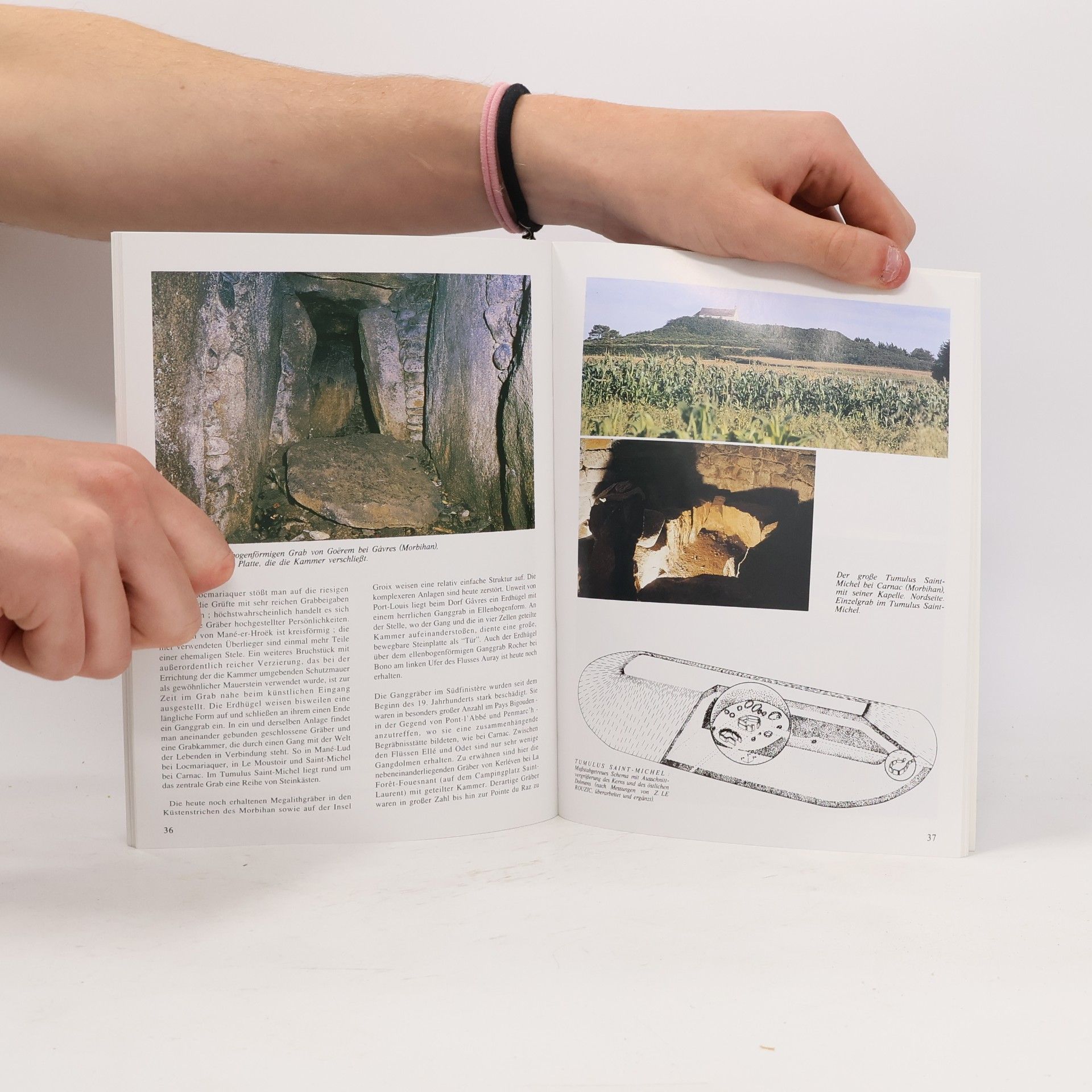 Pierre Roland Giot Vorgeschichte in der Bretagne. Menhire und Dolmen