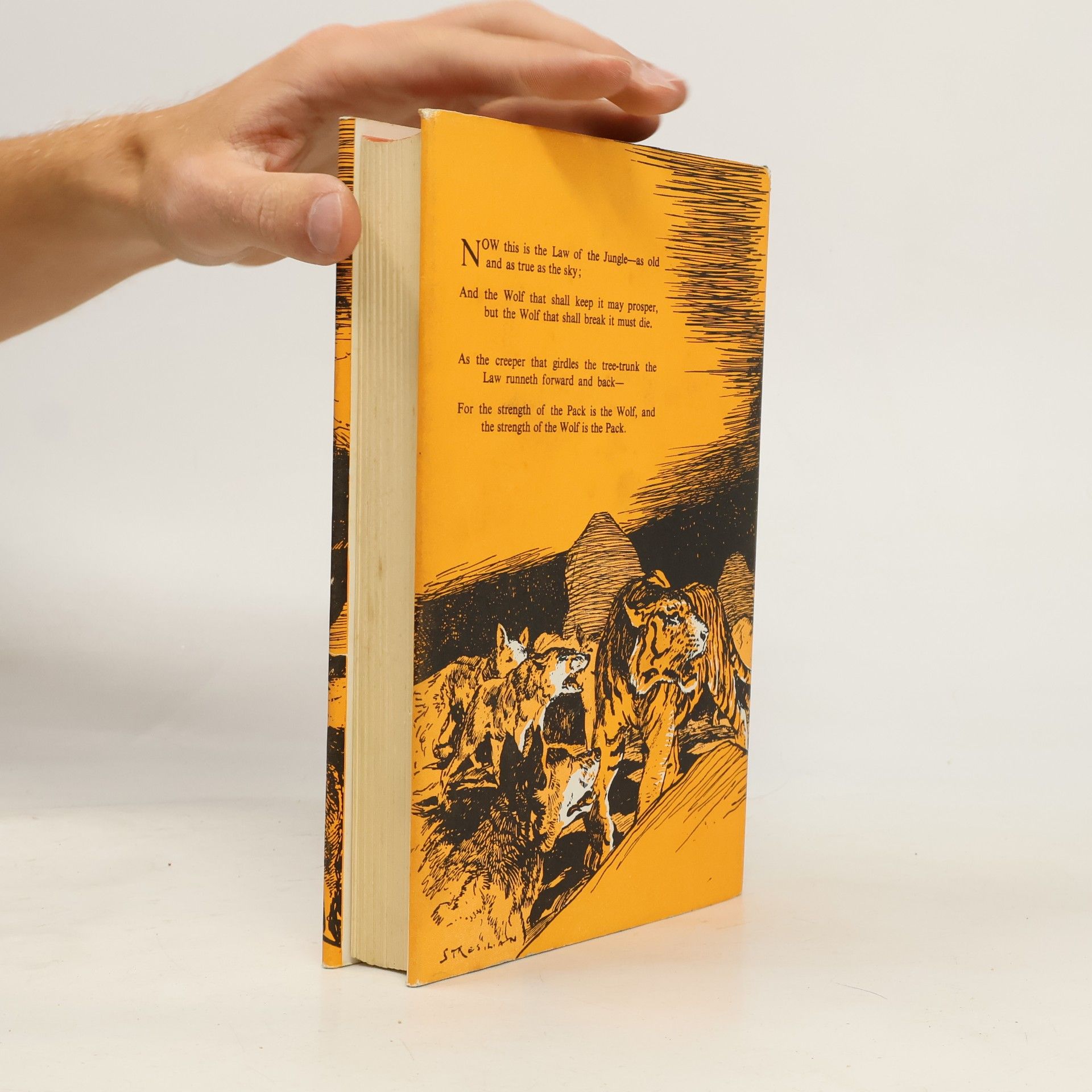 Rudyard Kipling The Jungle Books